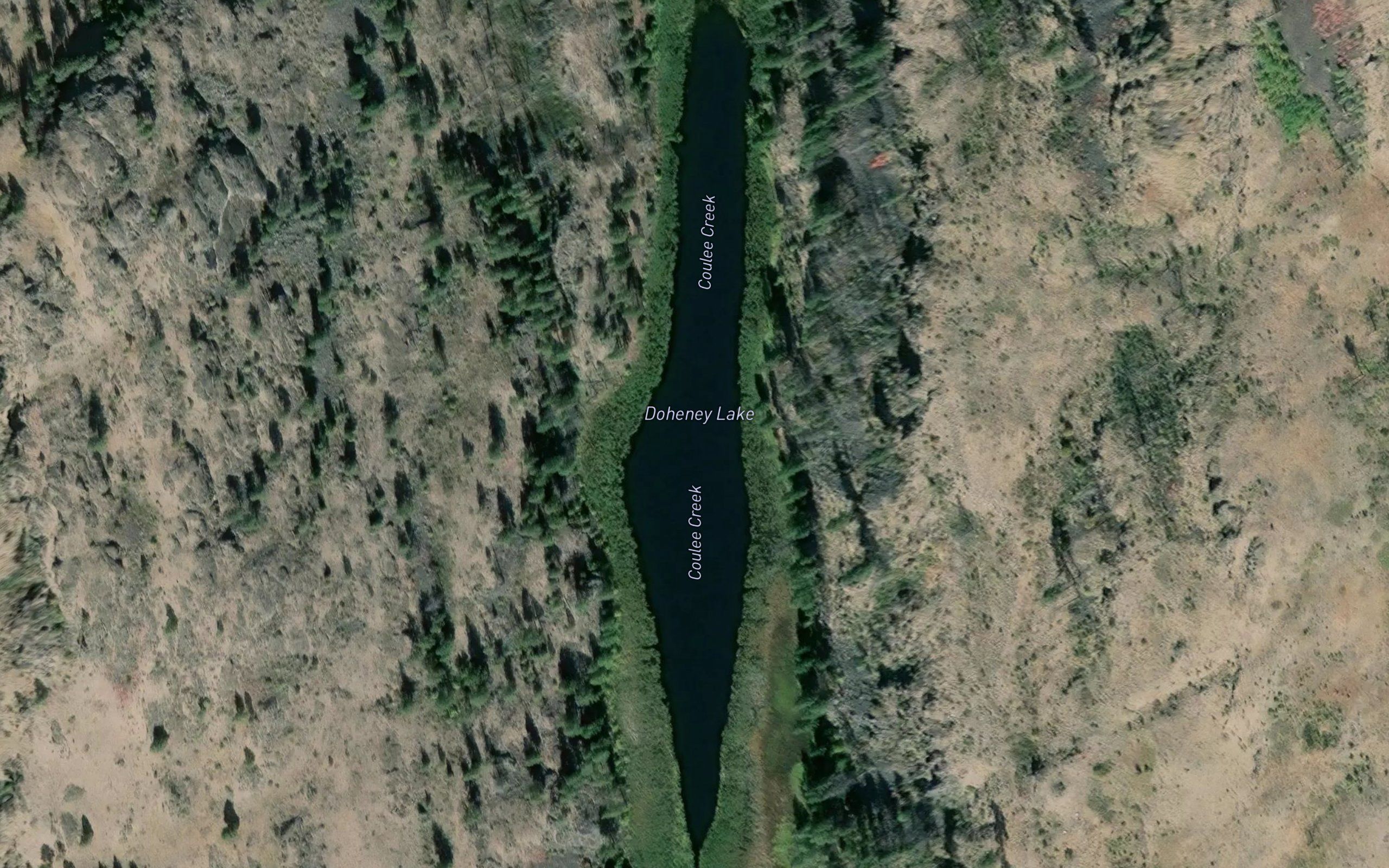 Doheney Lake