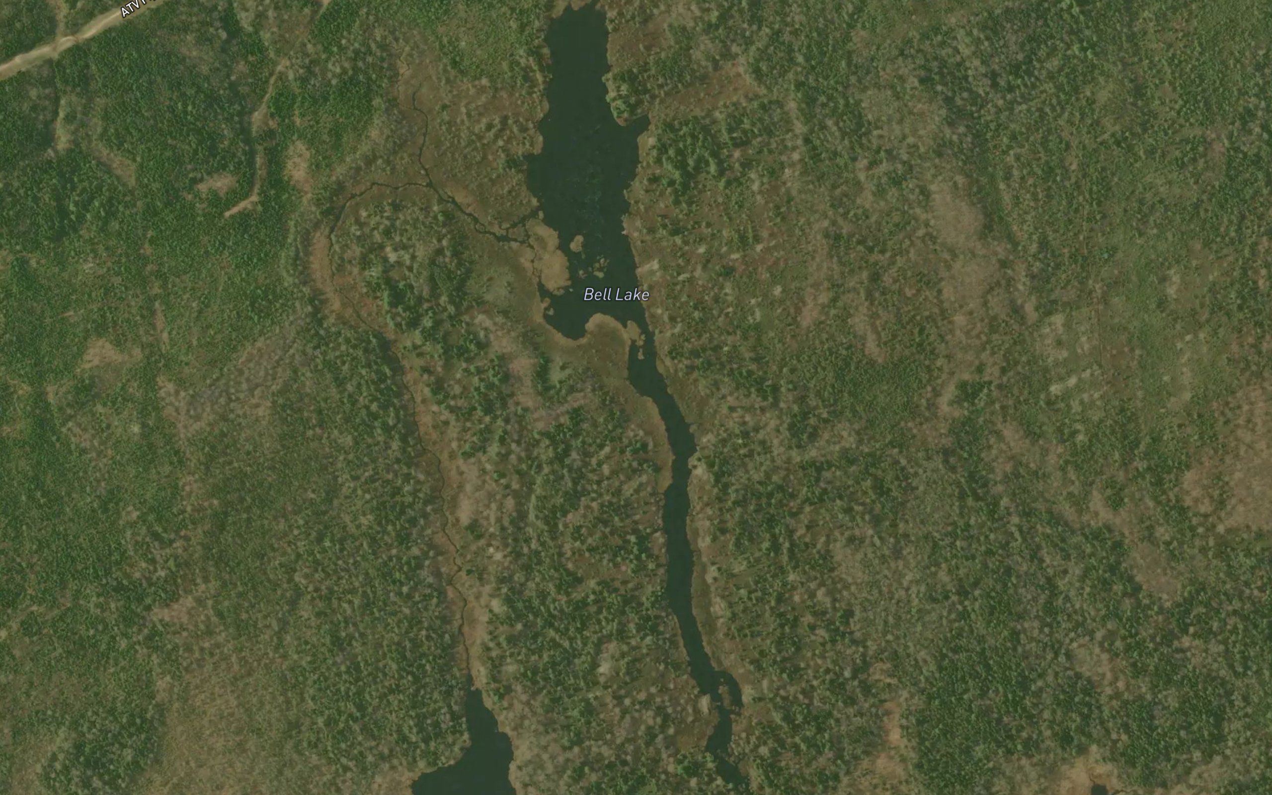 Bell Lake