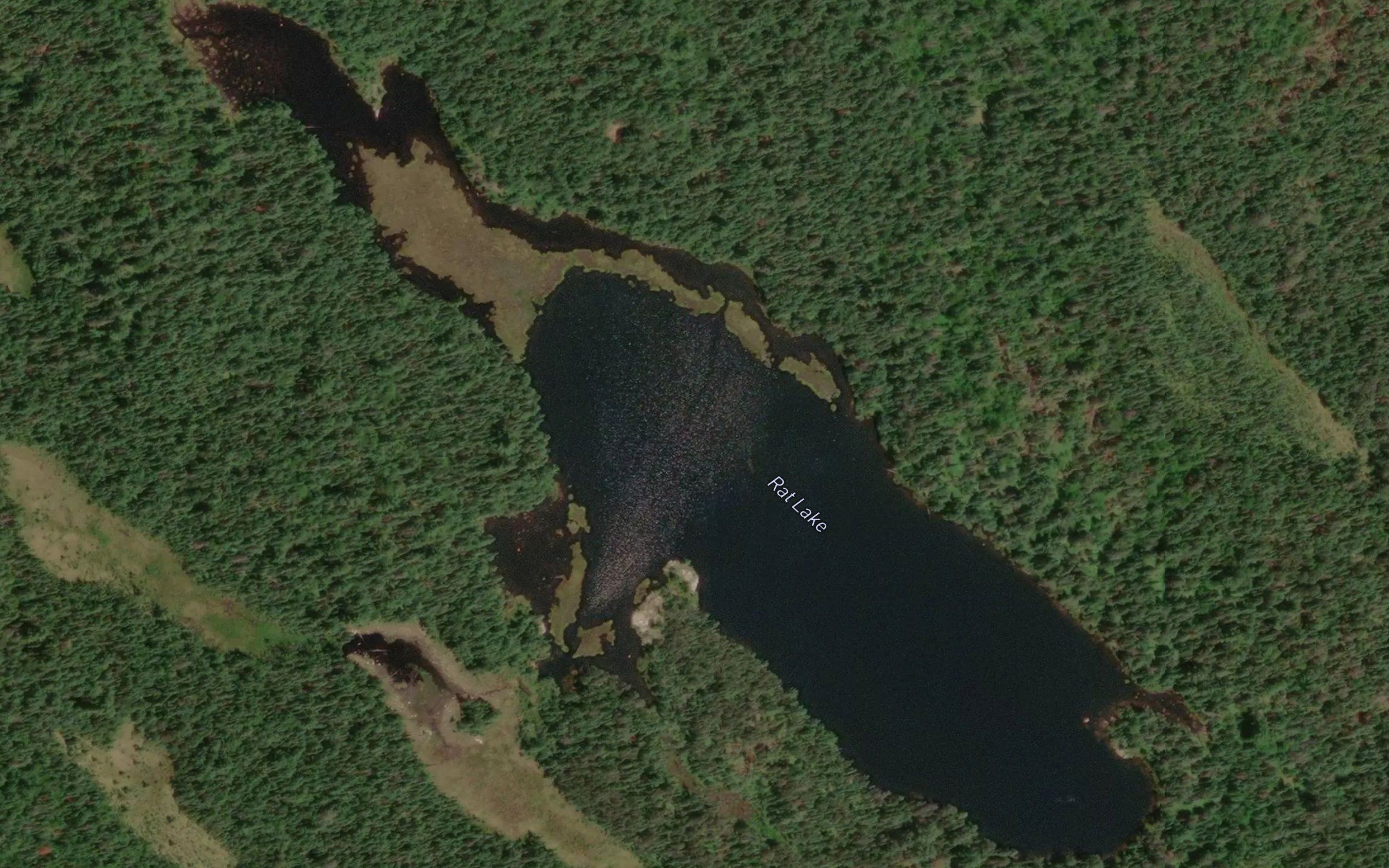 Rat Lake