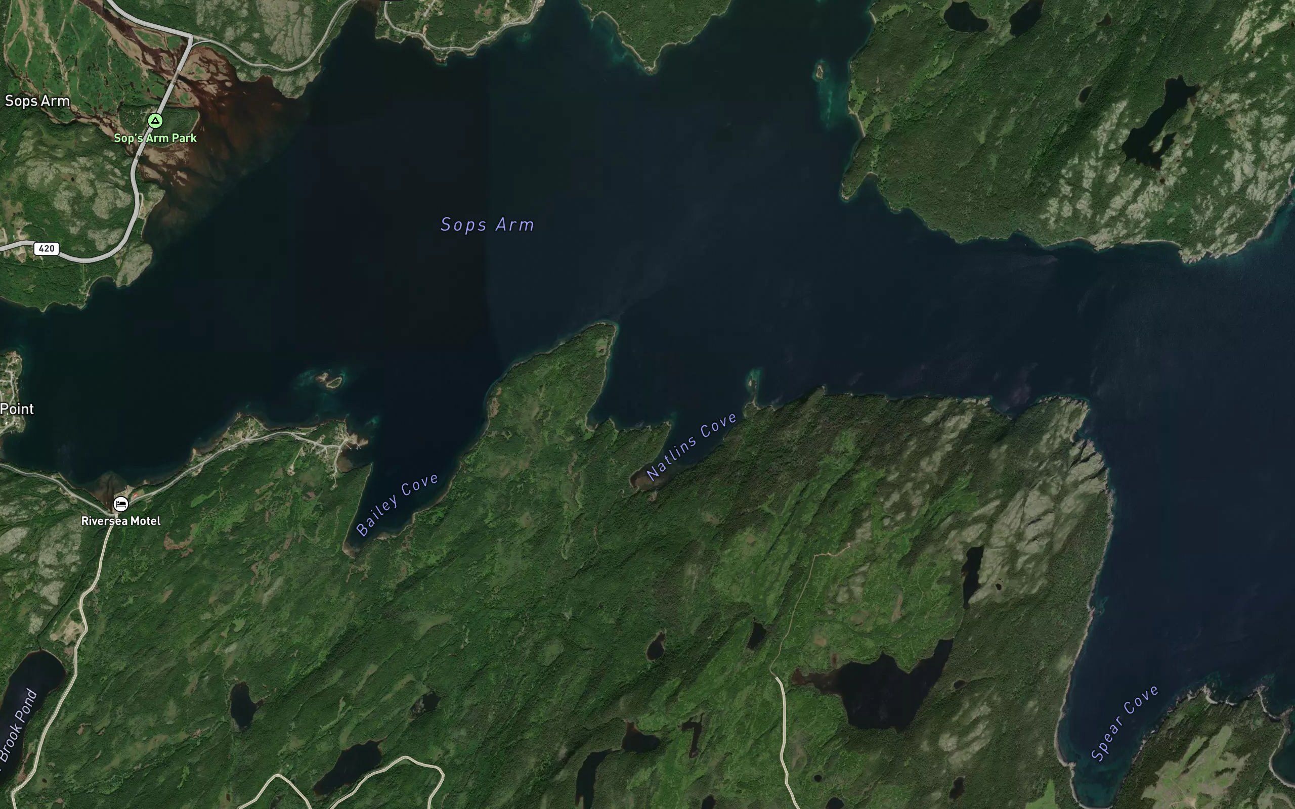 Sprucy Cove