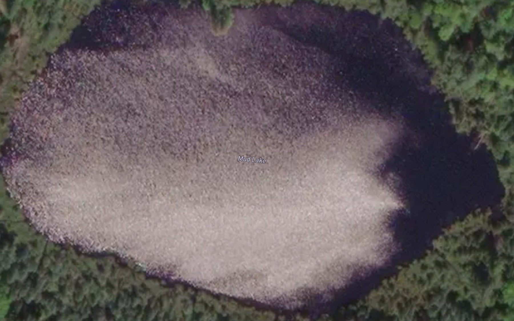 Satellite map of the Mud Lake