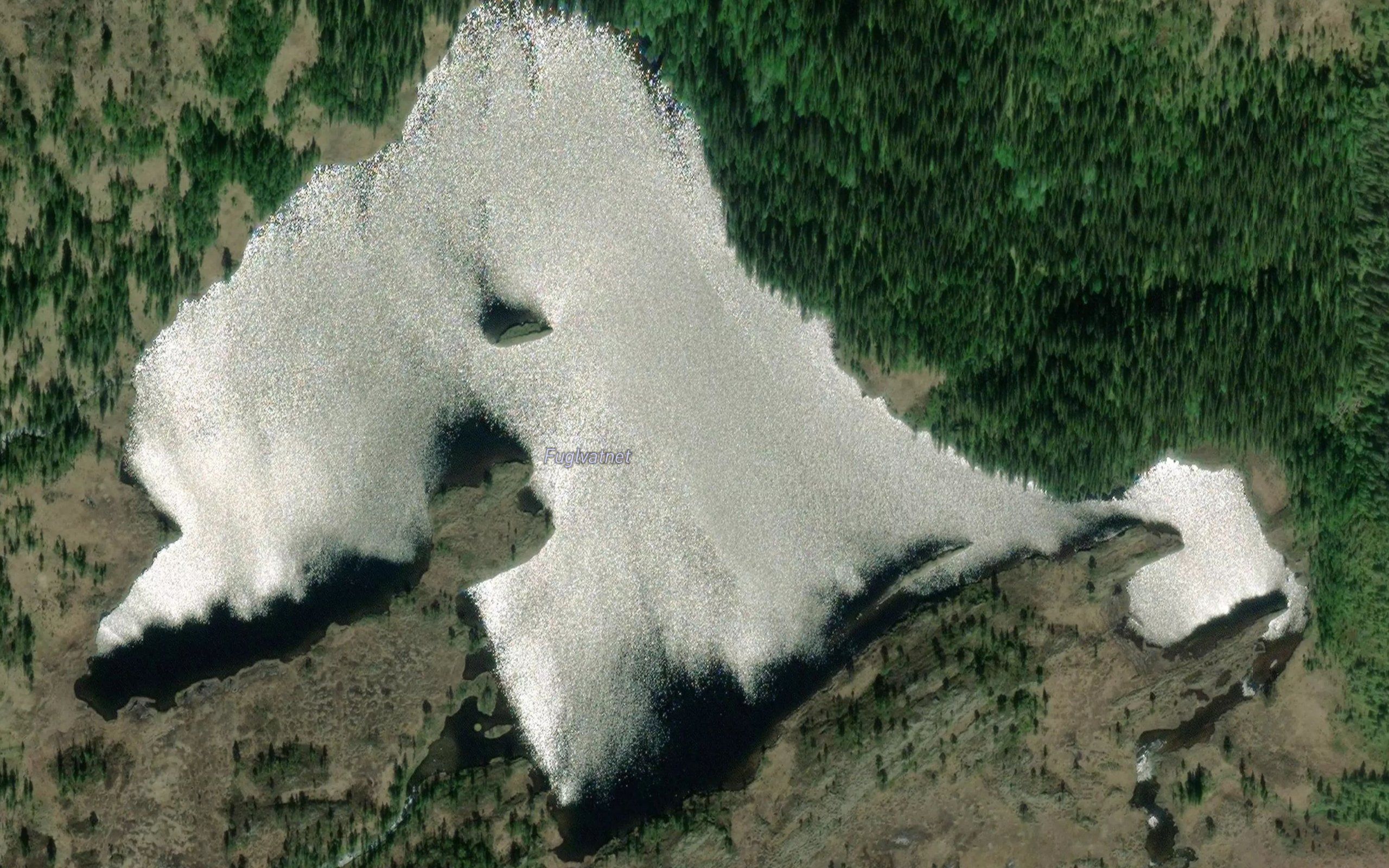 Fuglevatnet