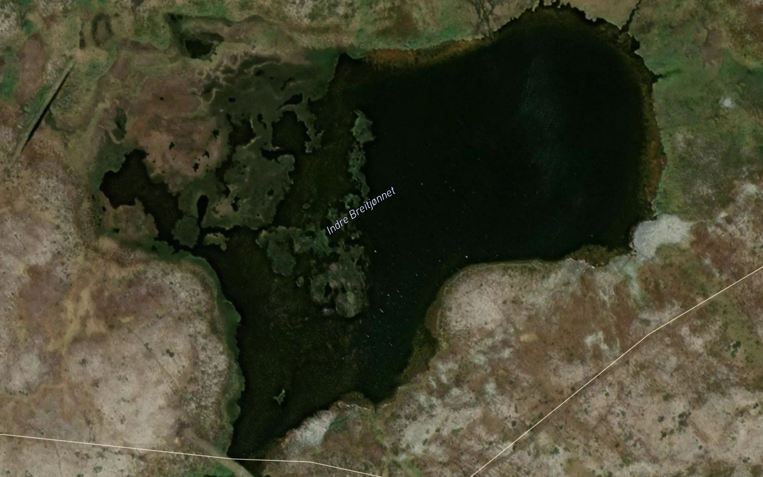 Breidtjorna,in