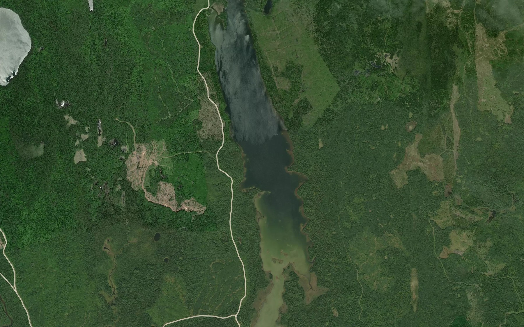 Satellite map of the Wolfpup Lake