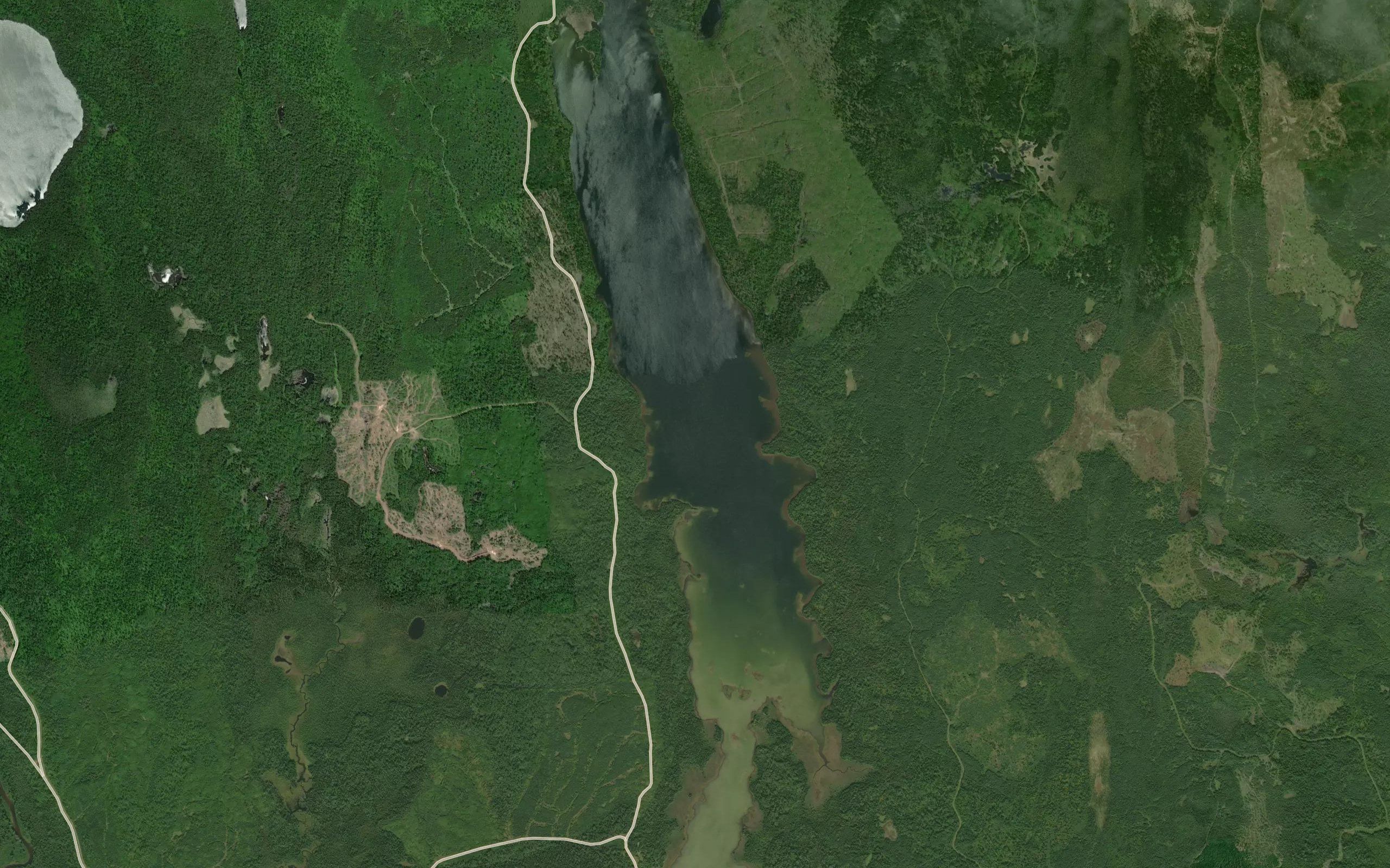 Wolfpup Lake