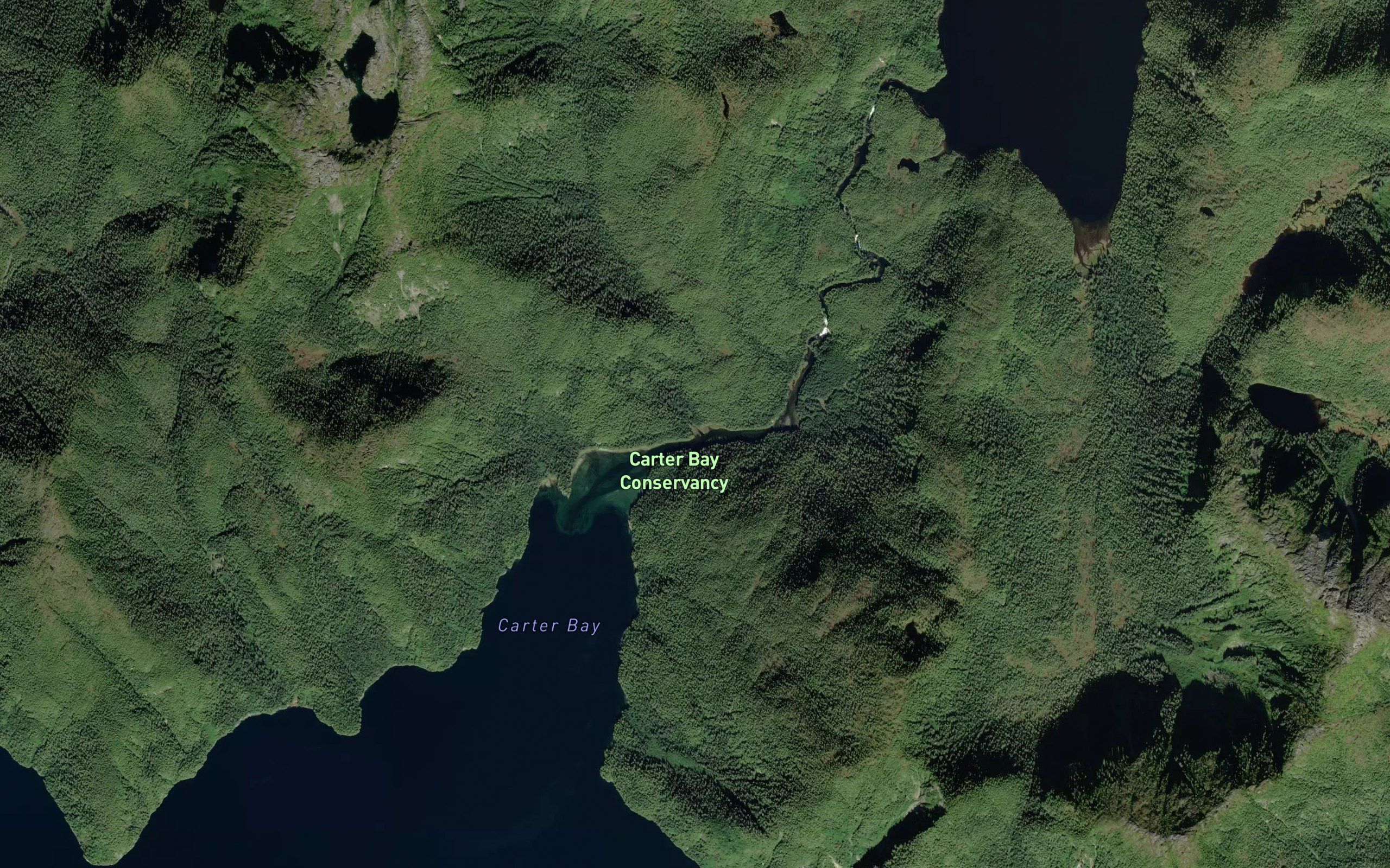 Carter River