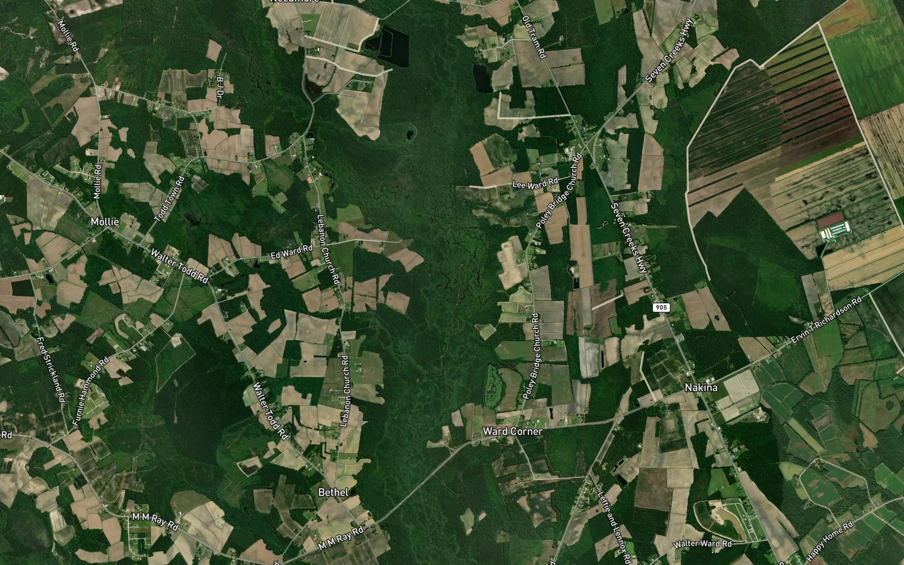 Satellite map of the Gum Swamp