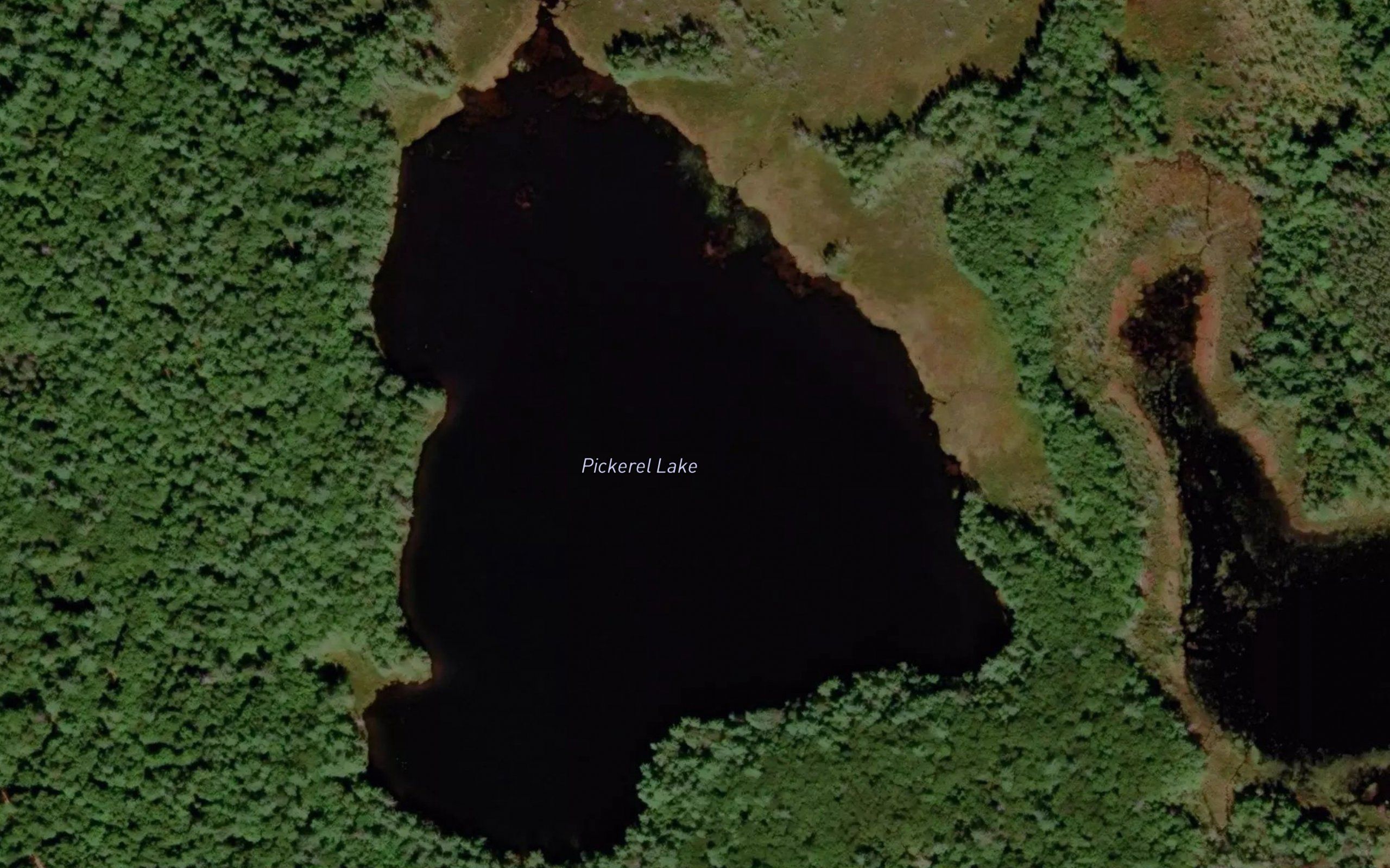 Pickerel Lake