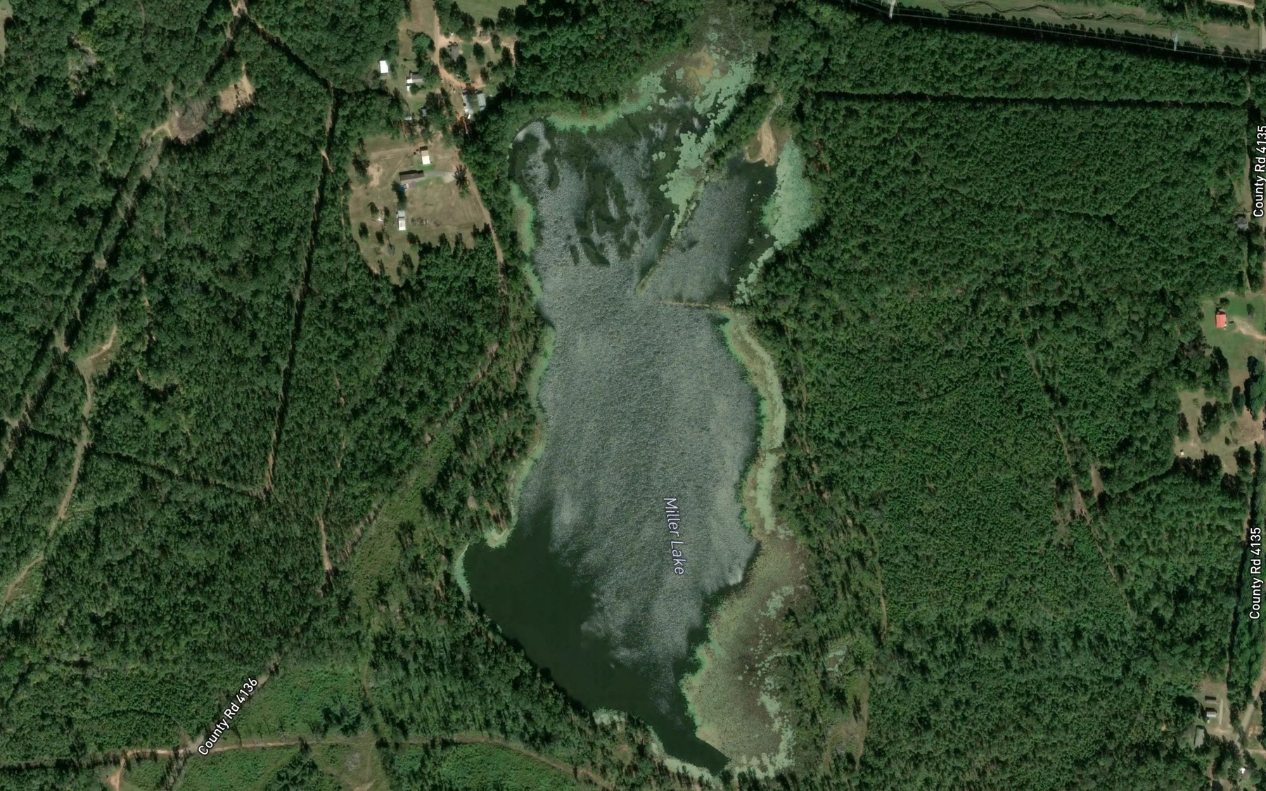 Satellite map of the Miller Lake
