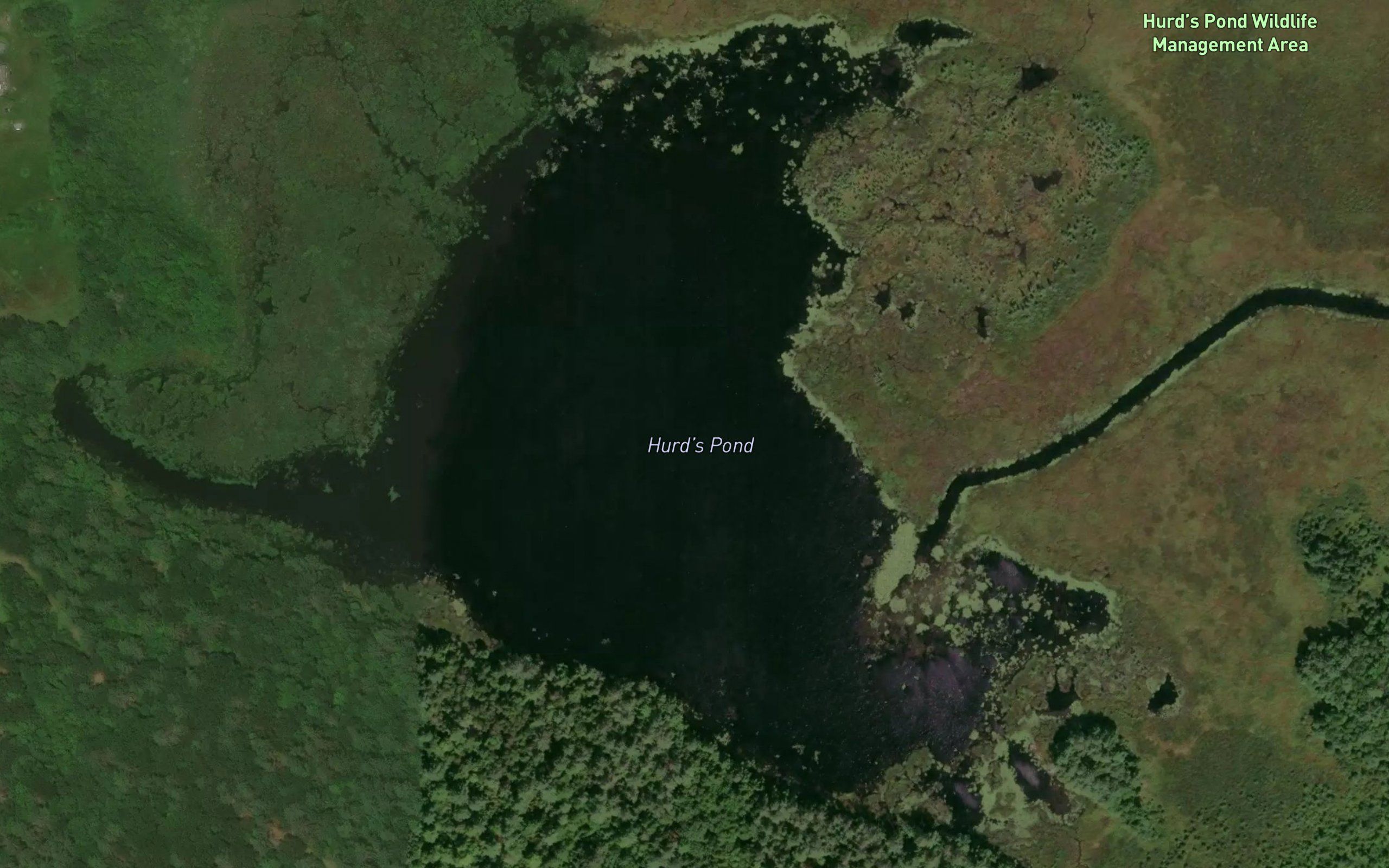 Hurds Pond