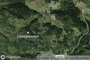 Lintjonn