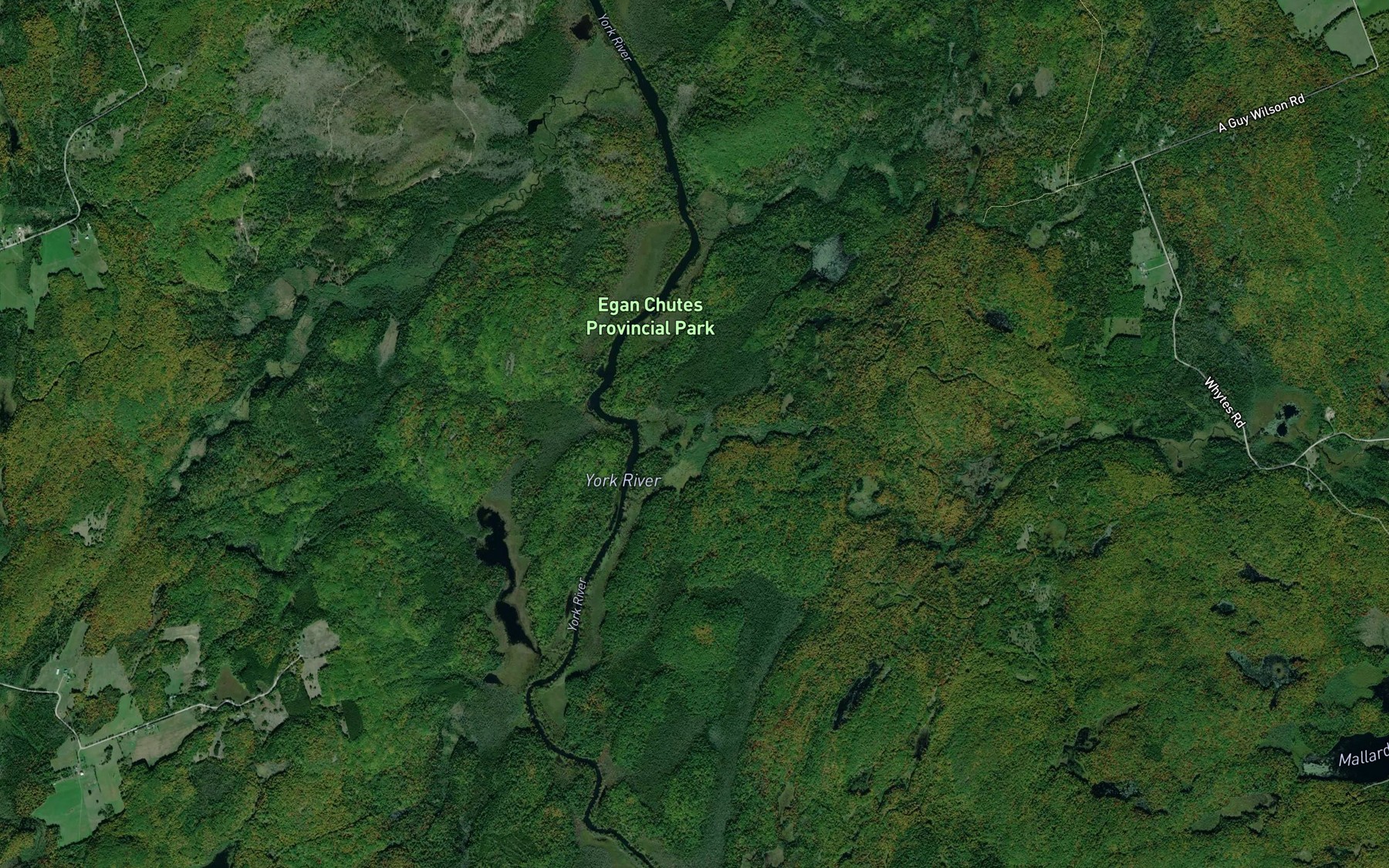 Satellite map of the Mallard Creek