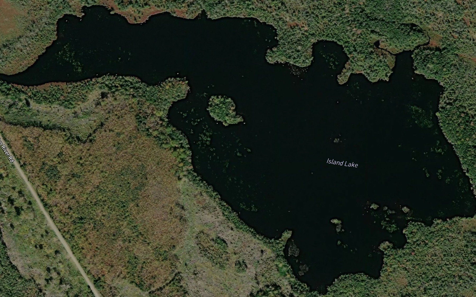 Satellite map of the Island Lake