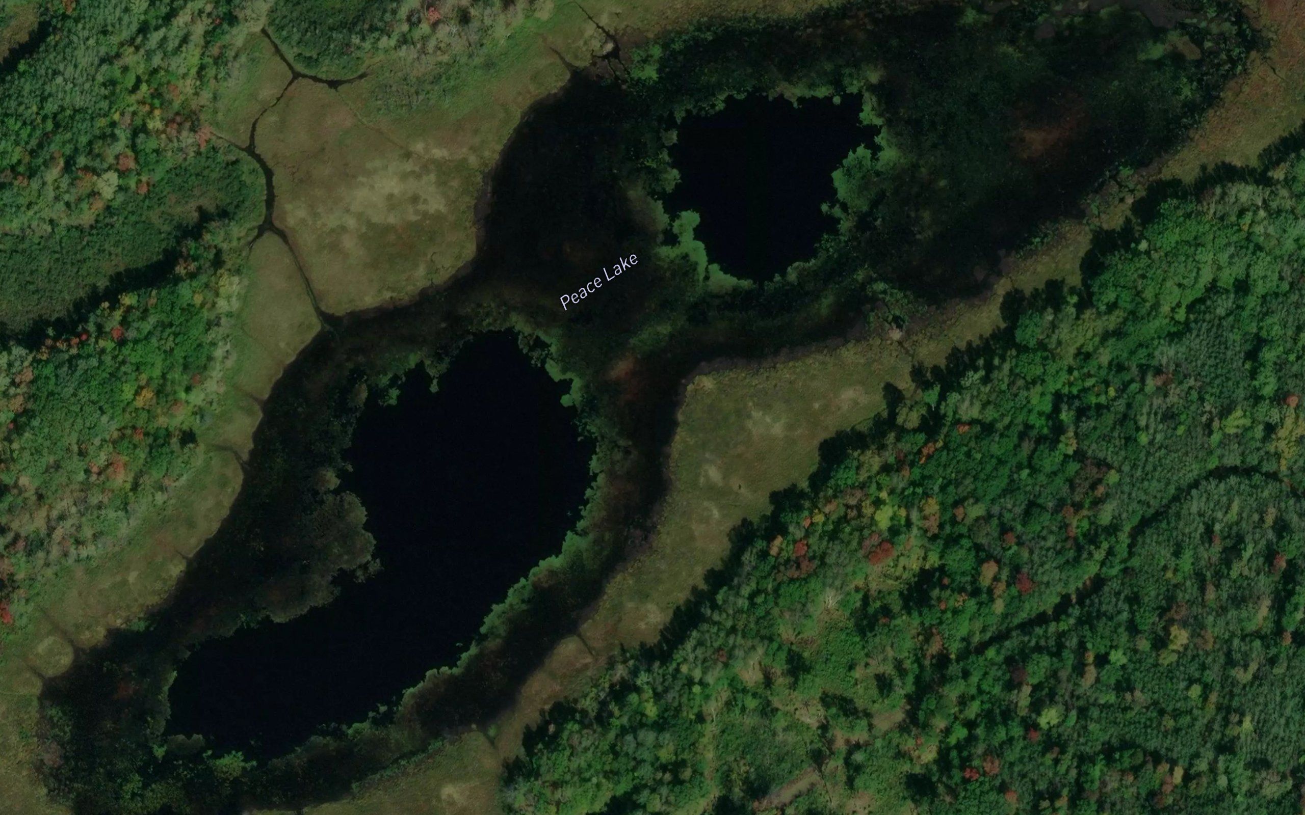 Peace Lake