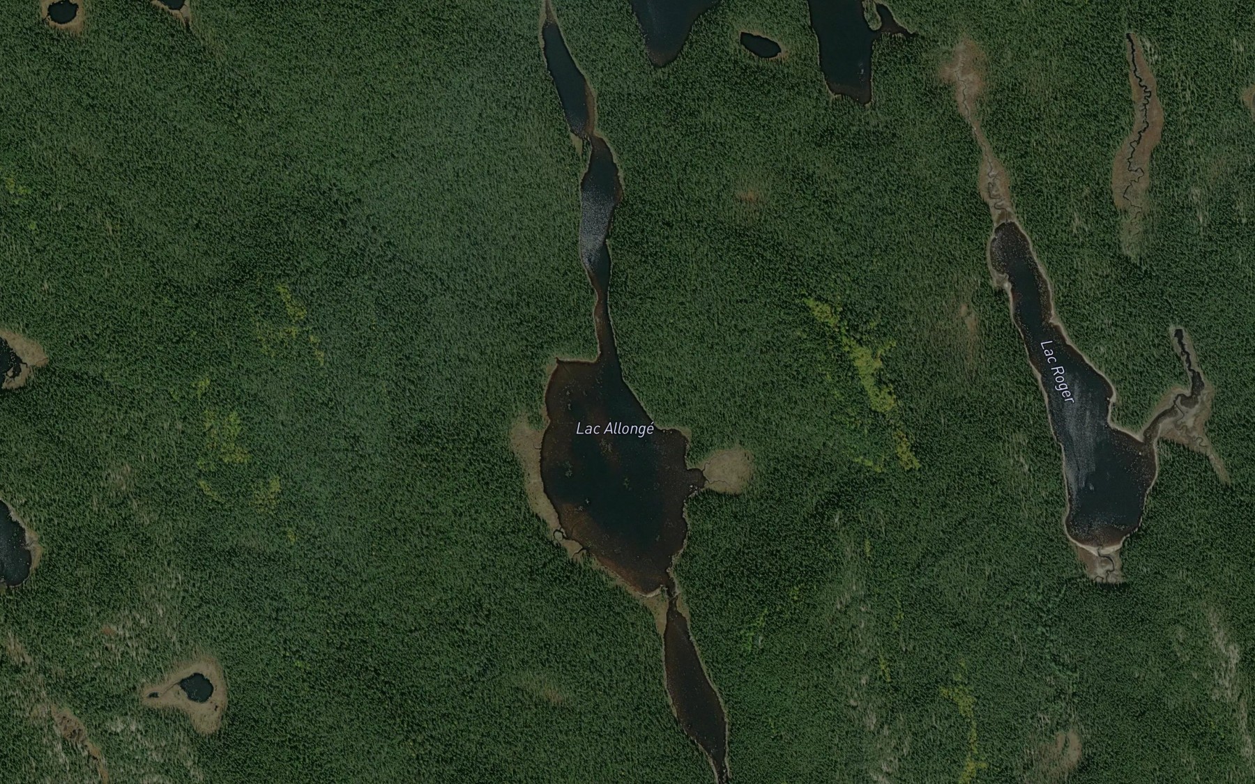 Satellite map of the Lac Allonge