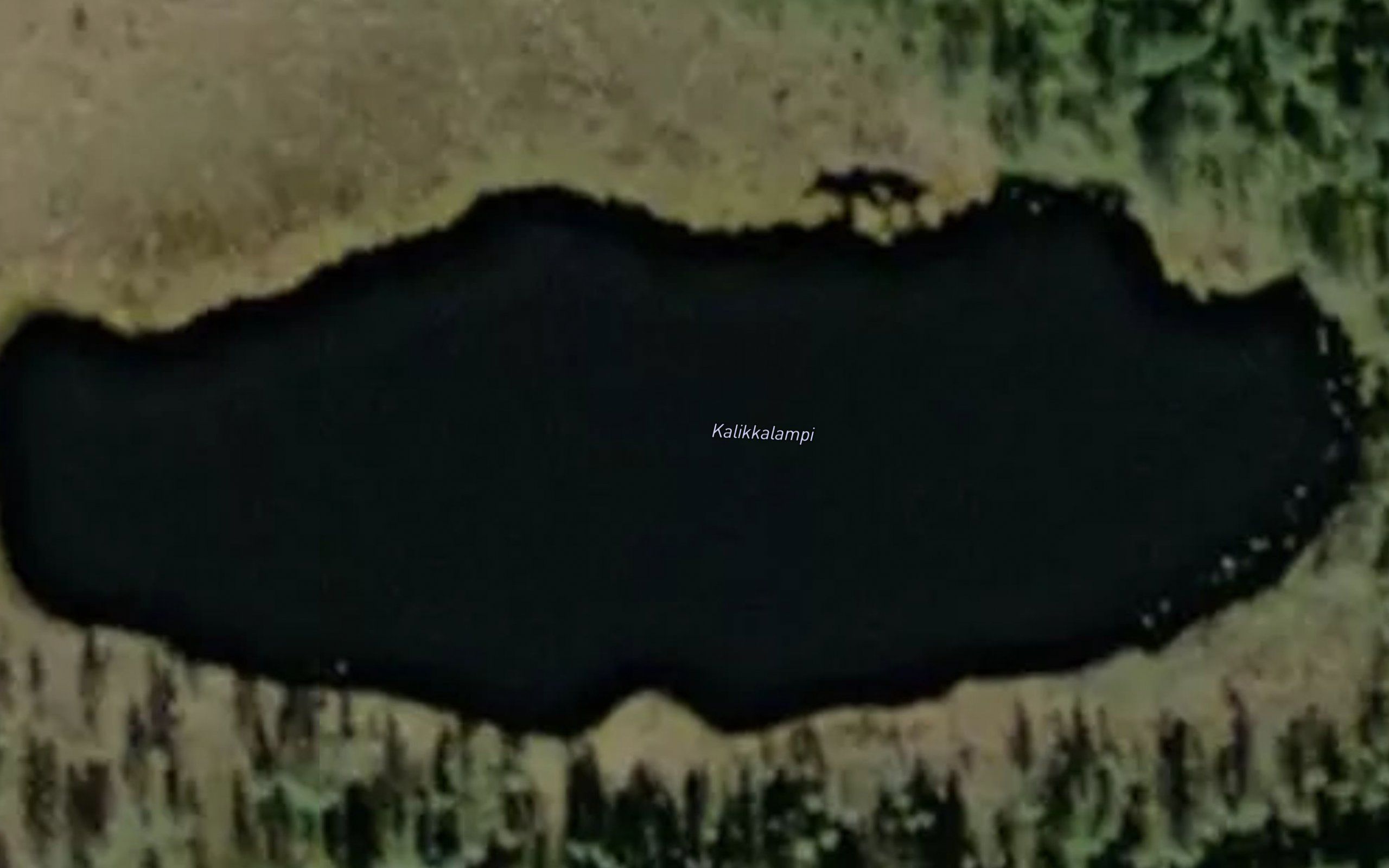 Kalikkalampi