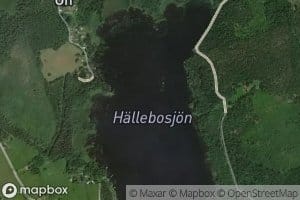 Hallebosjon