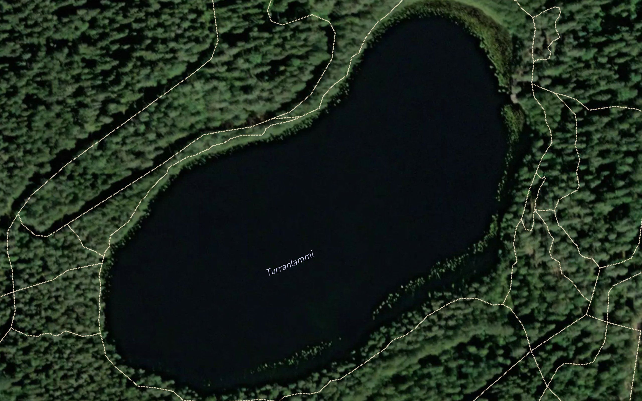 Turranlammi