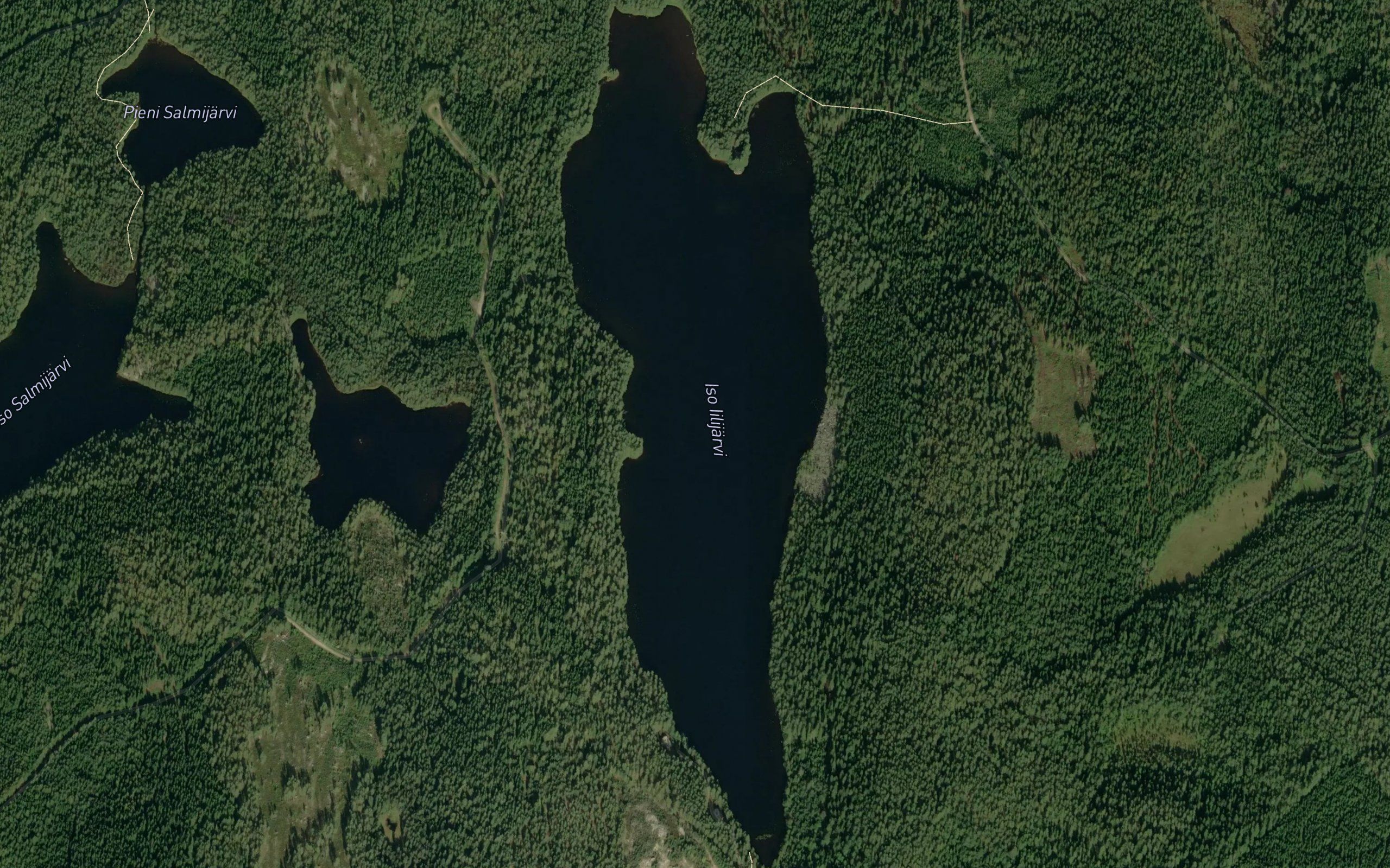 Iso Iilijarvi