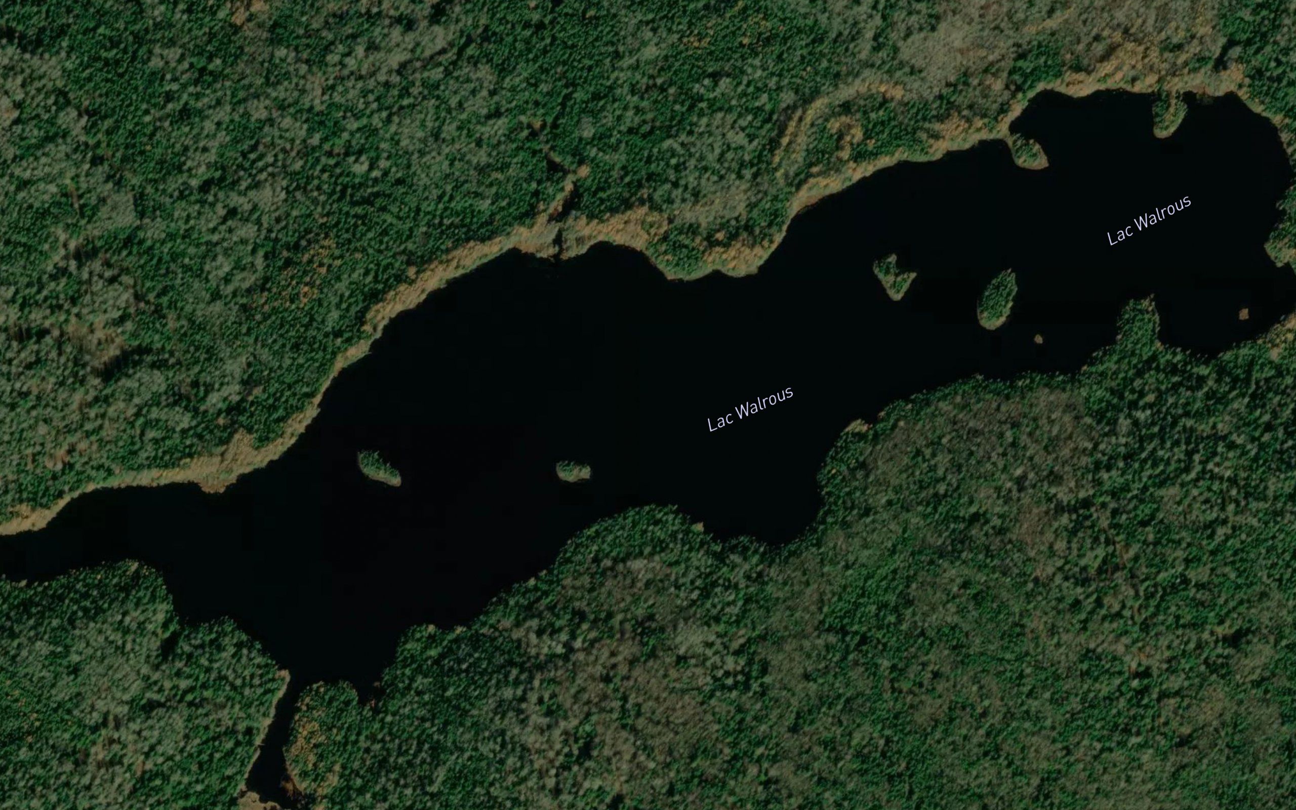 Lac Walrous