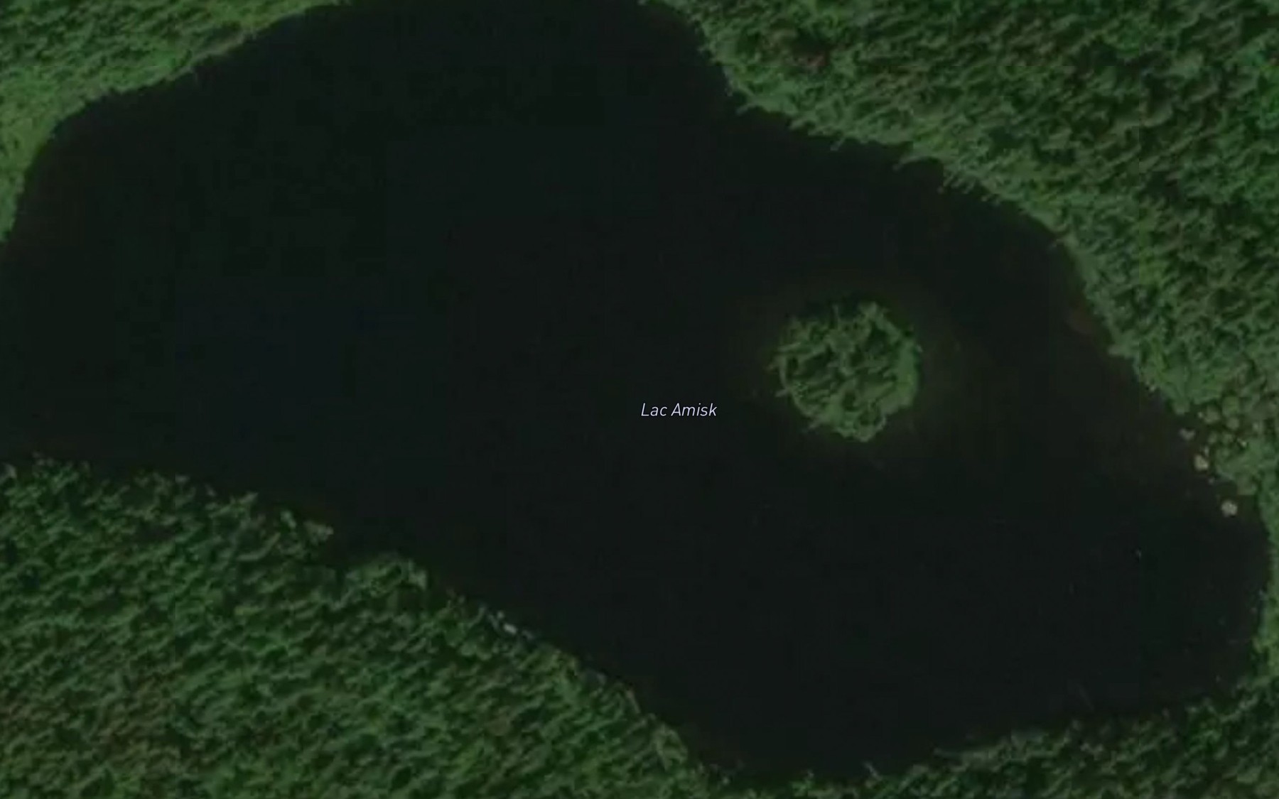 Satellite map of the Lac Amisk