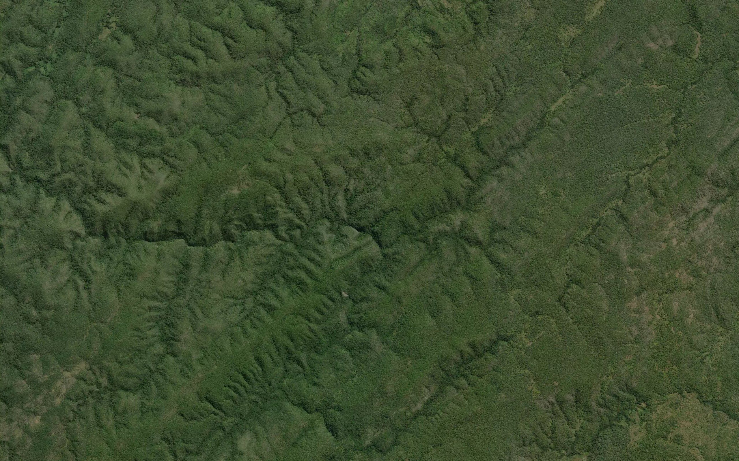 Kalonga