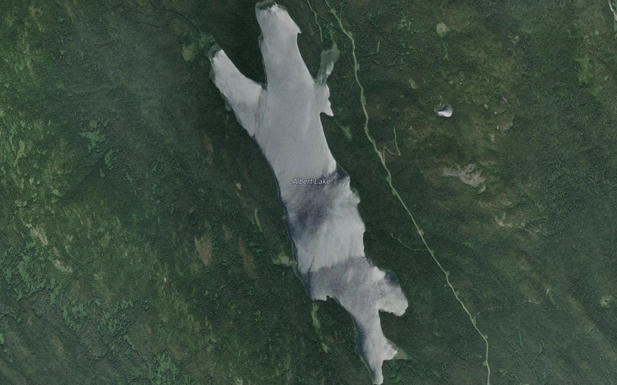 Albert Lake