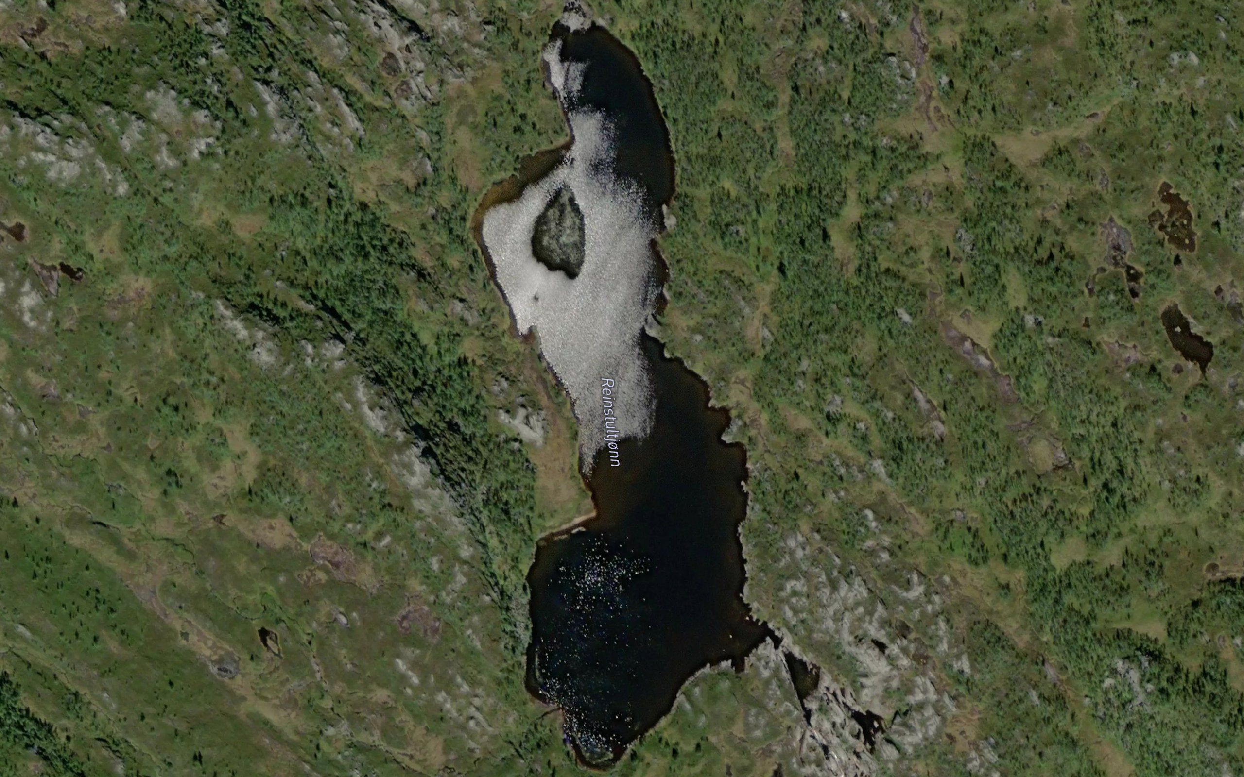 Reinstultjonn
