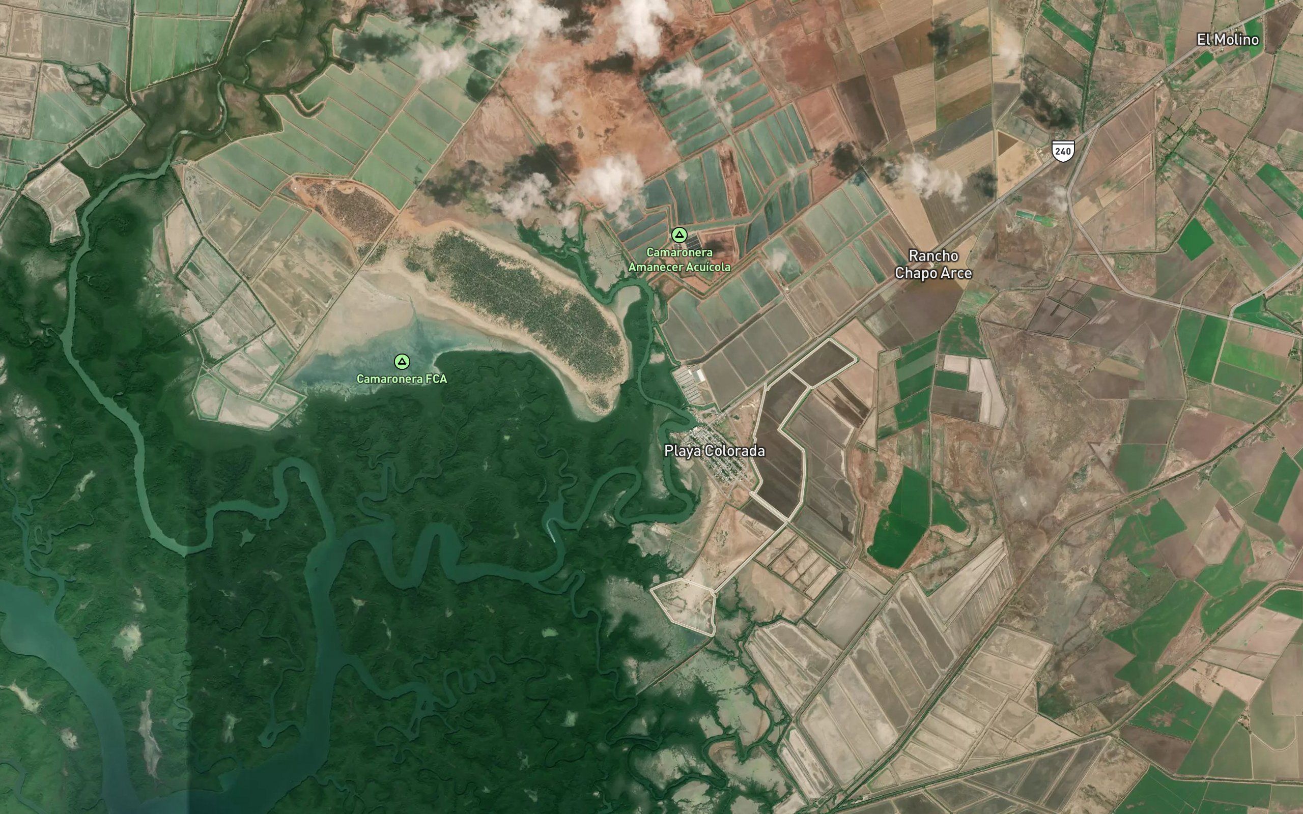 Estero el Mangle