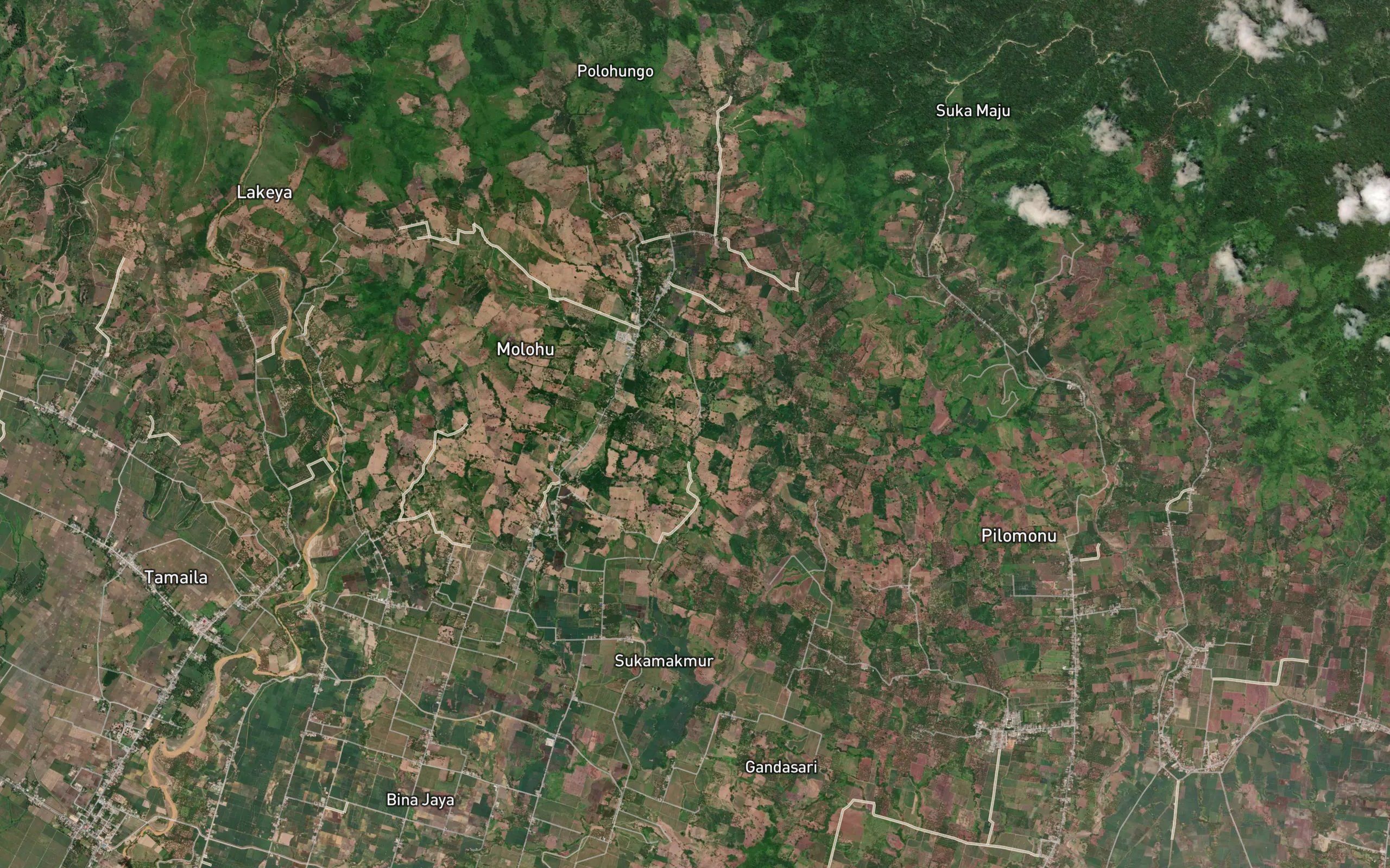 Dutula Motoy