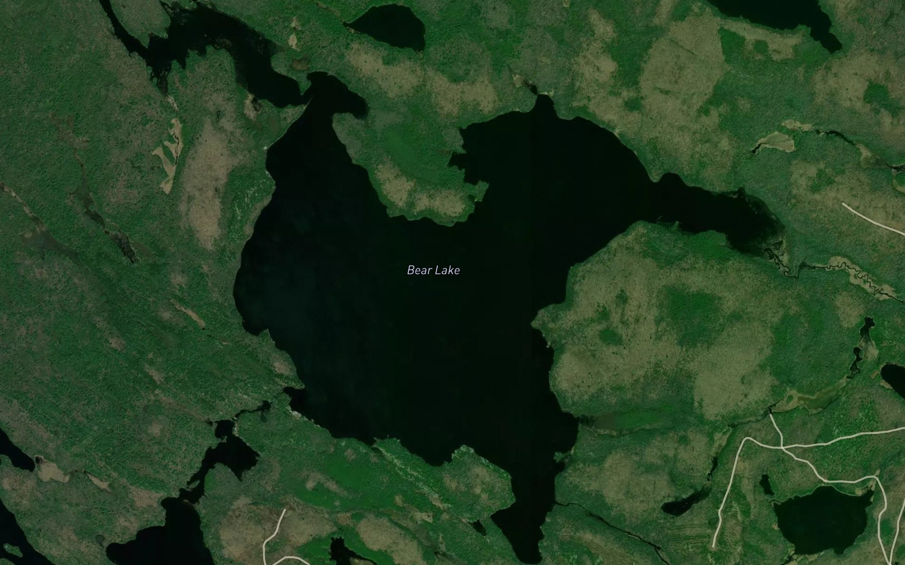 Satellite map of the Bear Lake