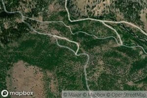 Twin Spring