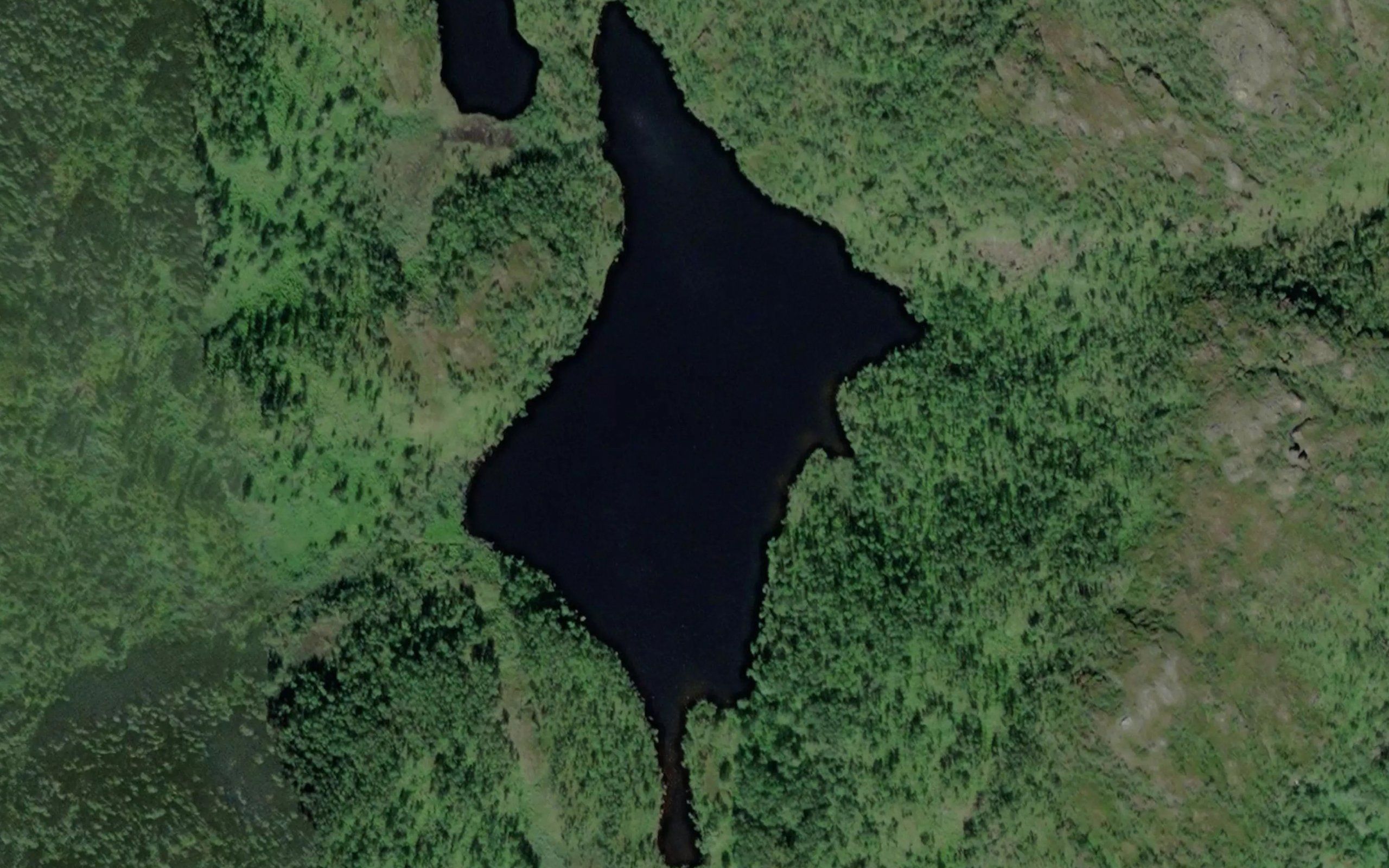 Kivikvatn