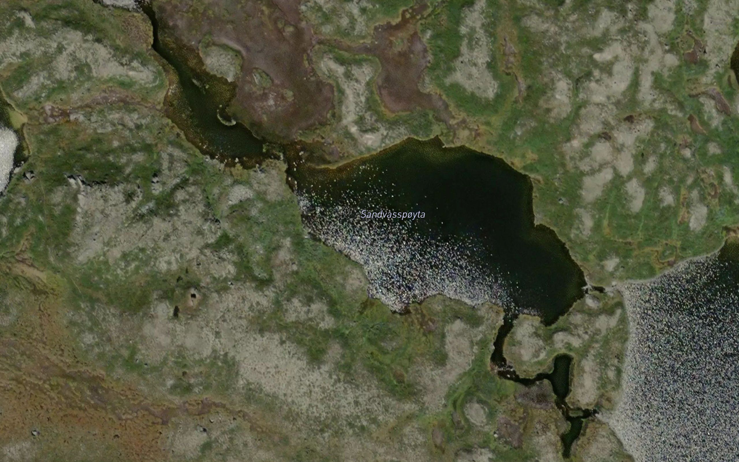 Sandvasspoyta
