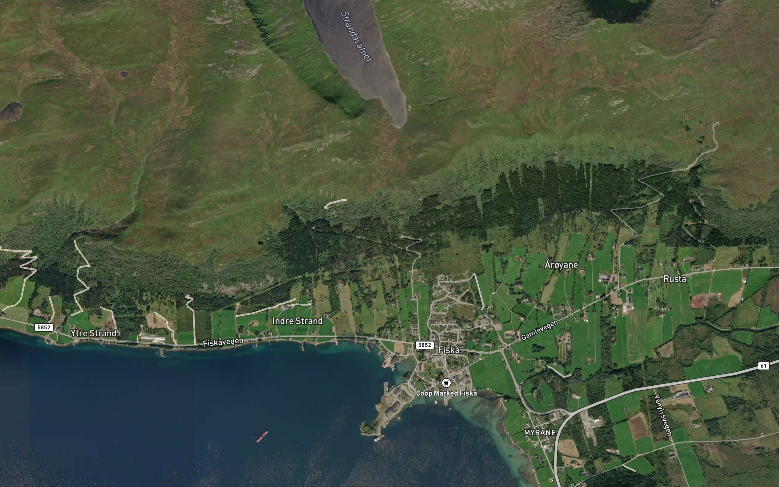 Gringjolselva