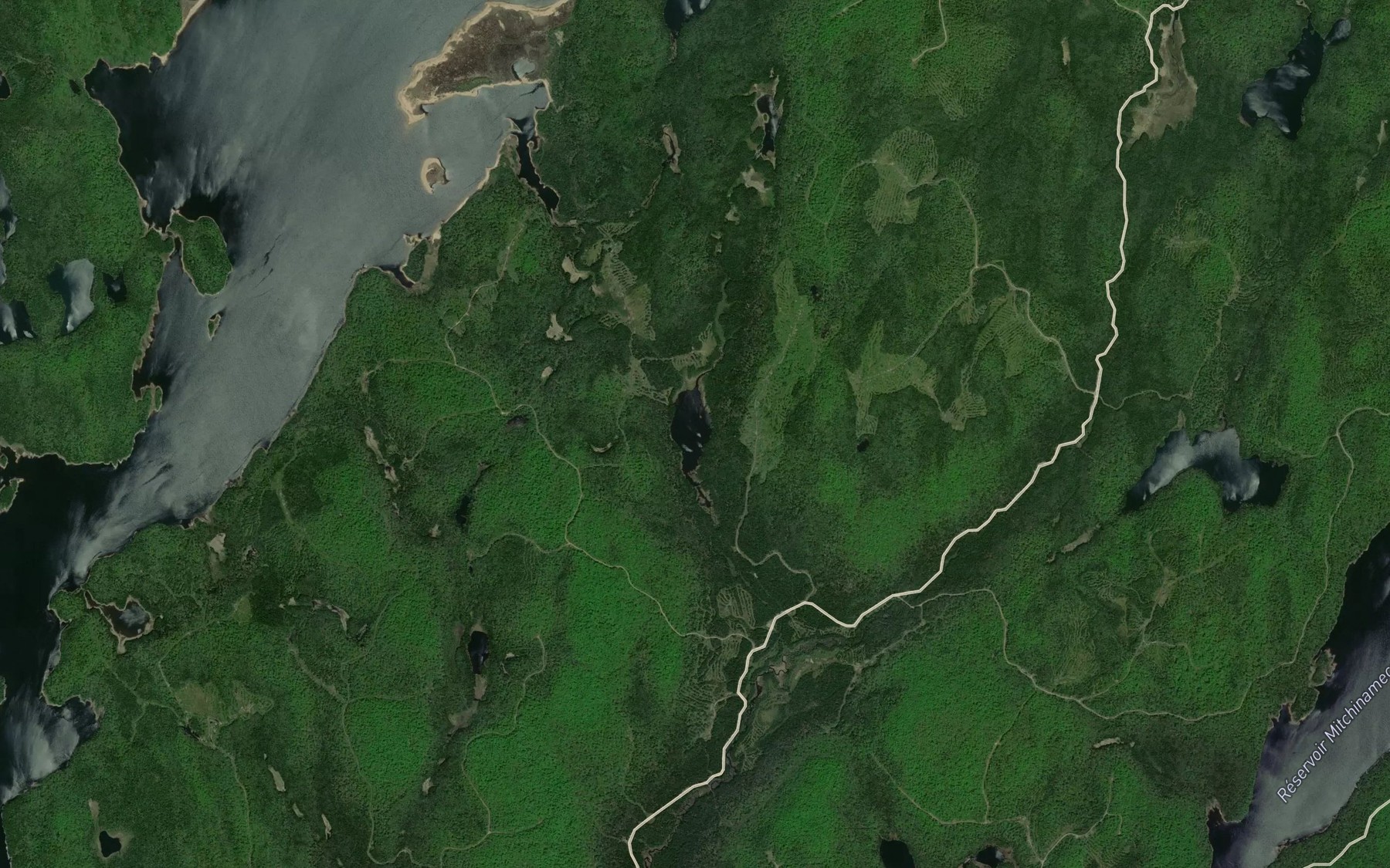 Satellite map of the Lac Michel
