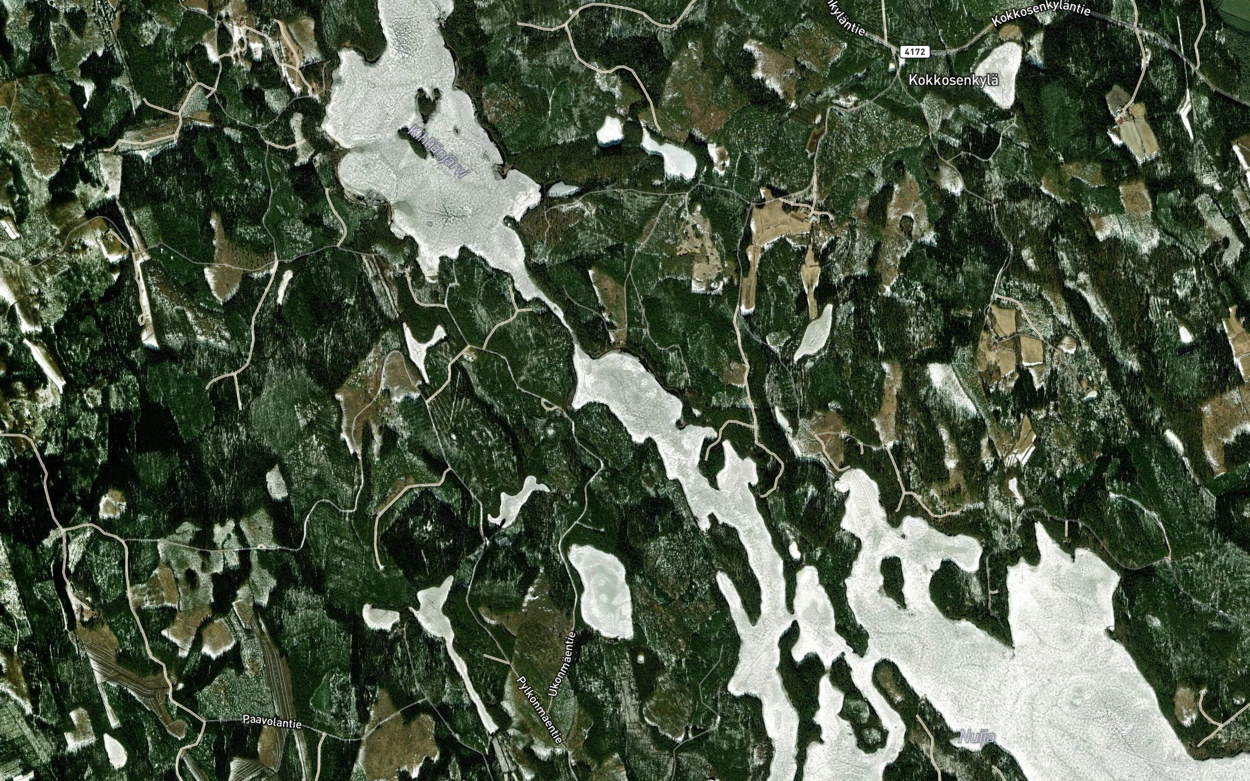 Tervaselka