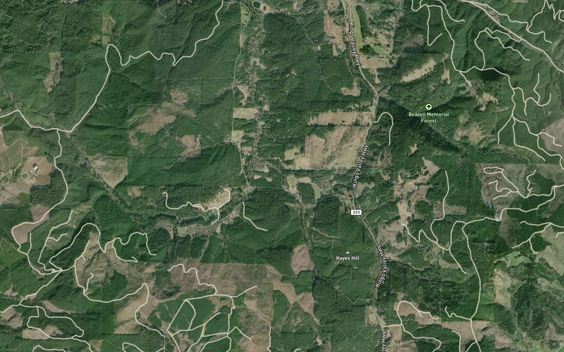 Satellite map of the Alexander Creek