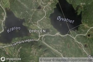 Vesledypilen