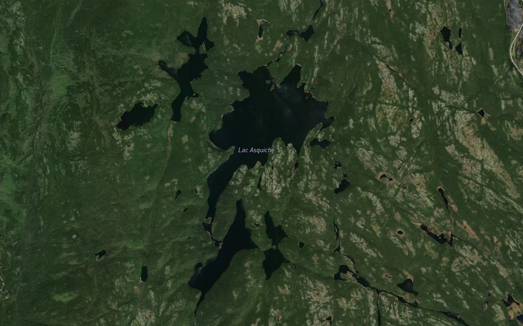 Satellite map of the Lac Asquiche