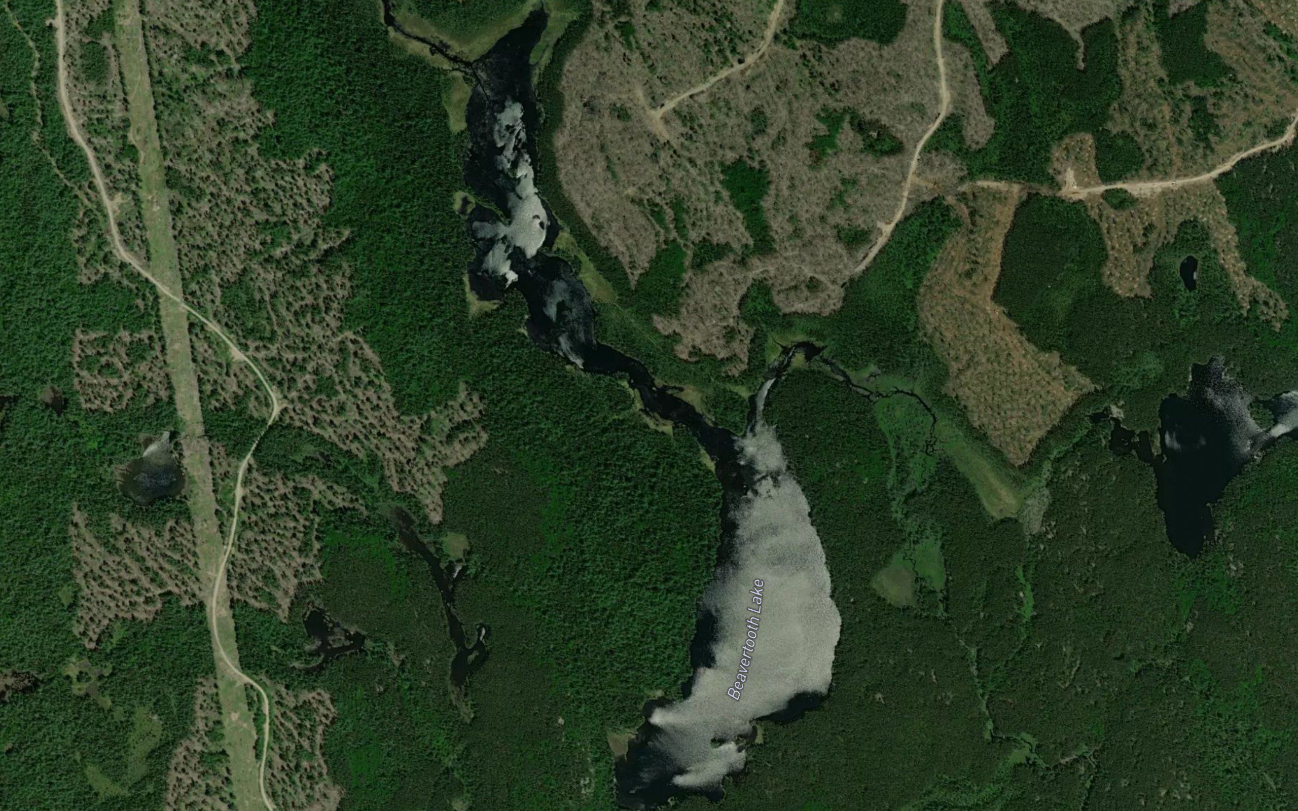 Beavertooth Lake