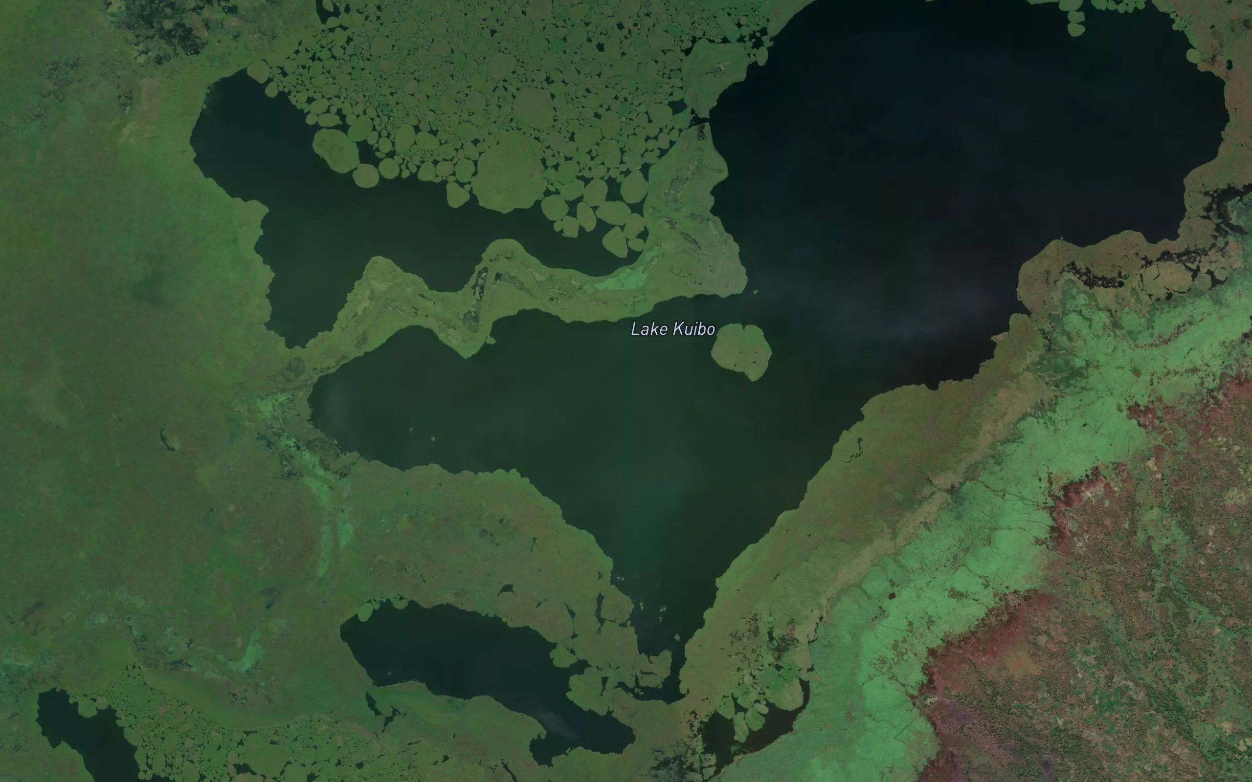 Lac Kuiba