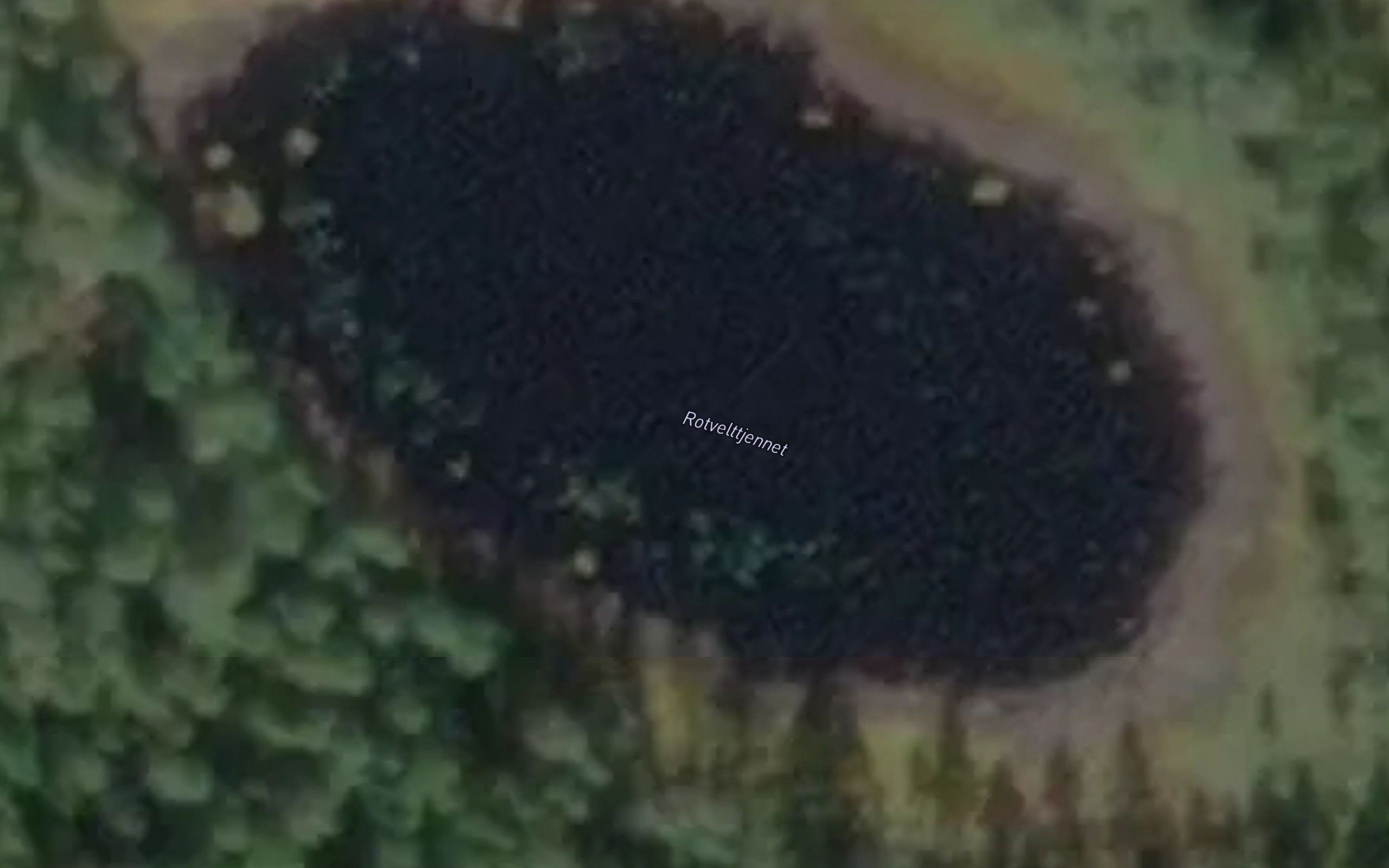 Rotvelttjennet