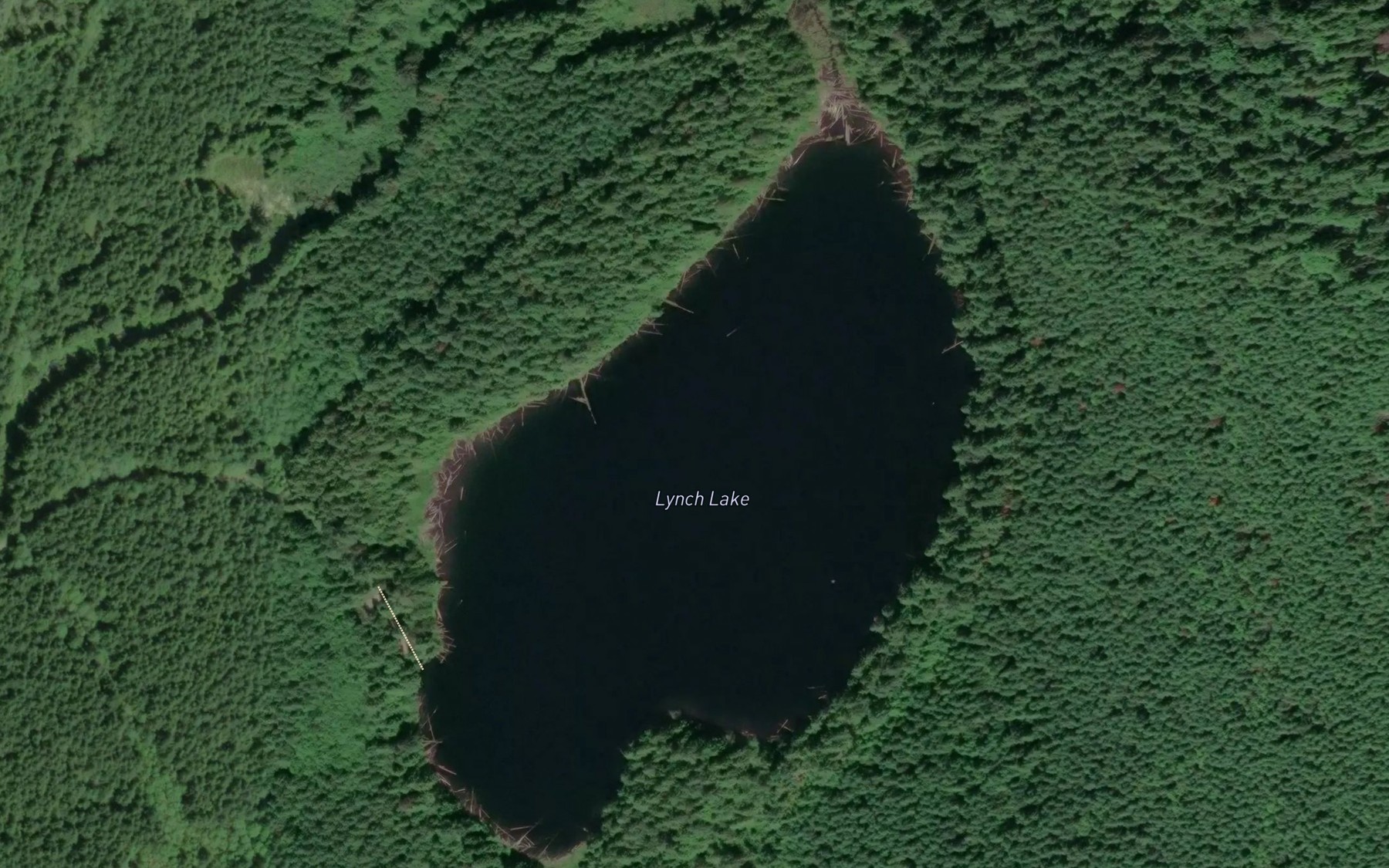 Satellite map of the Lynch Lake