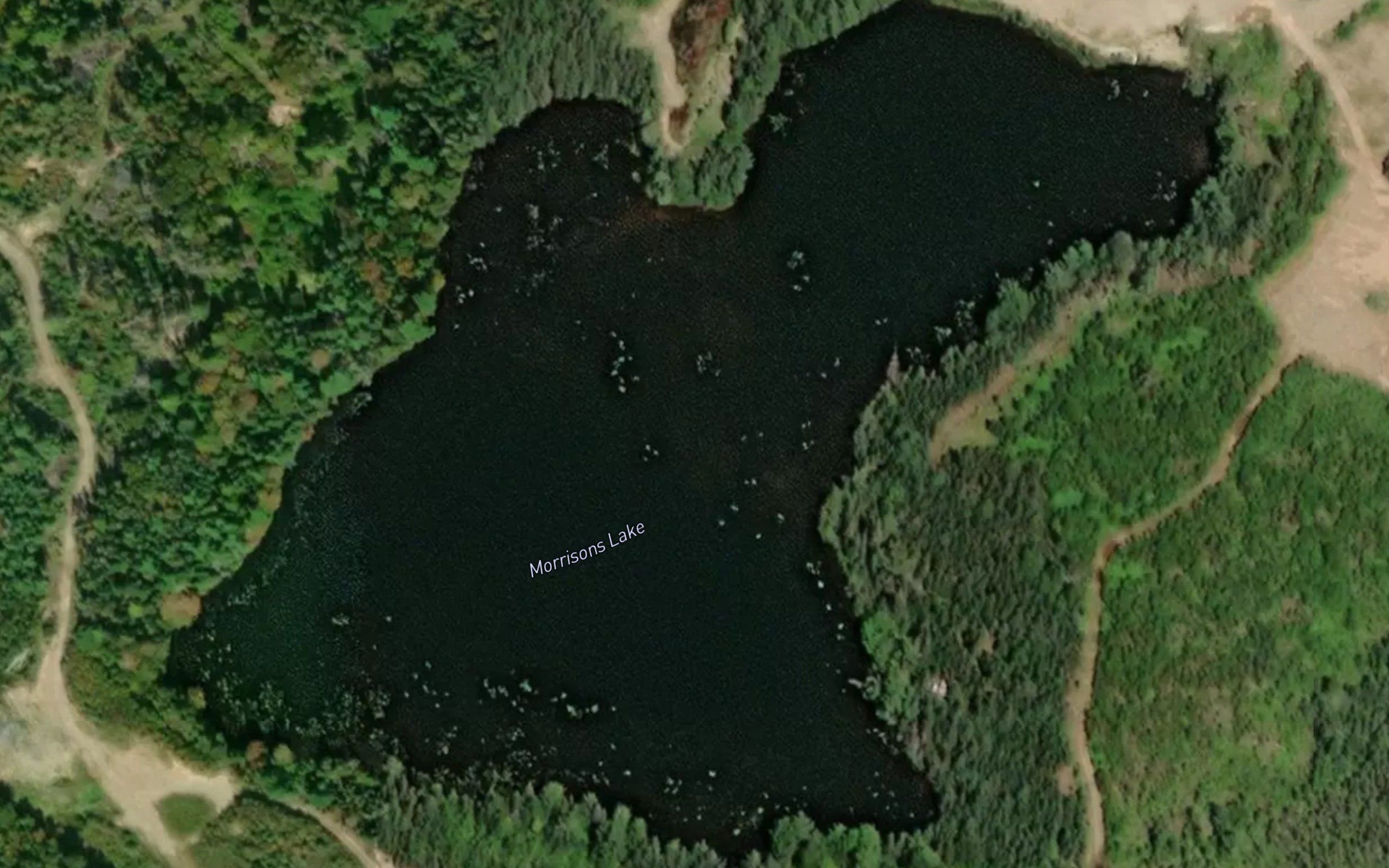 Morrisons Lake
