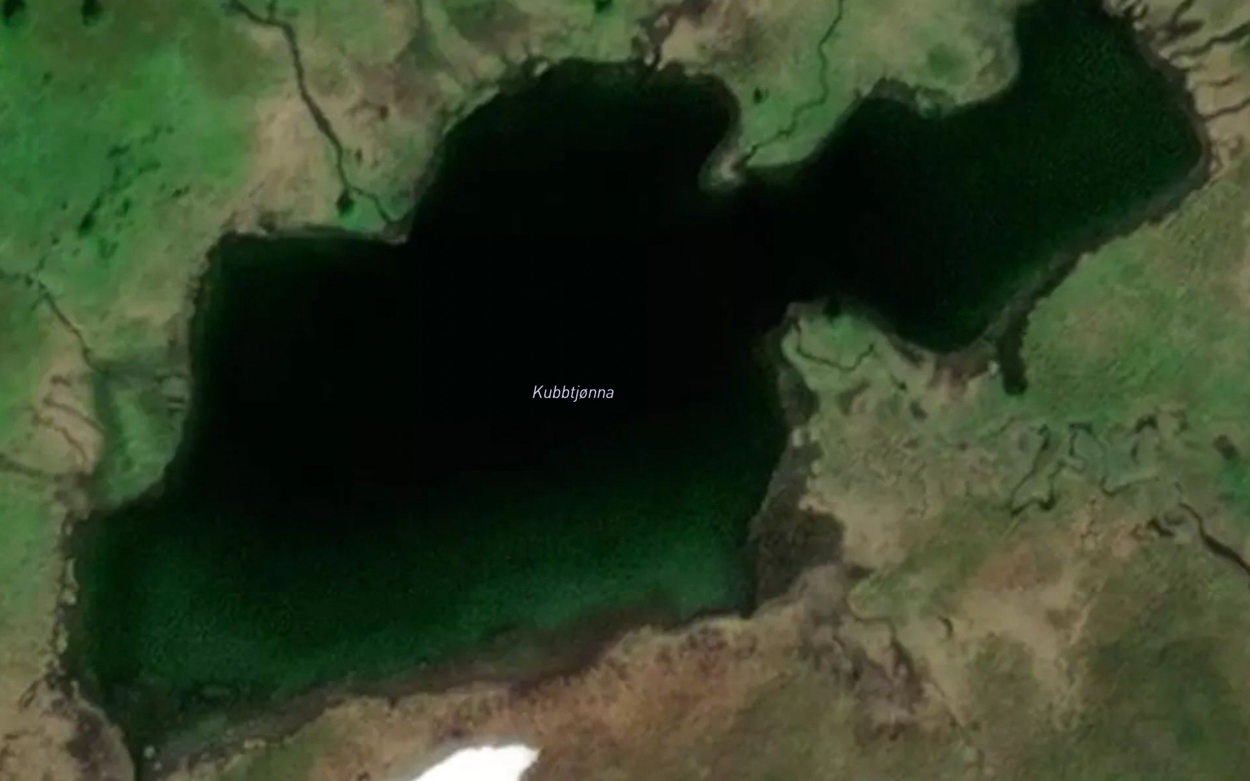 Kubbtjorna