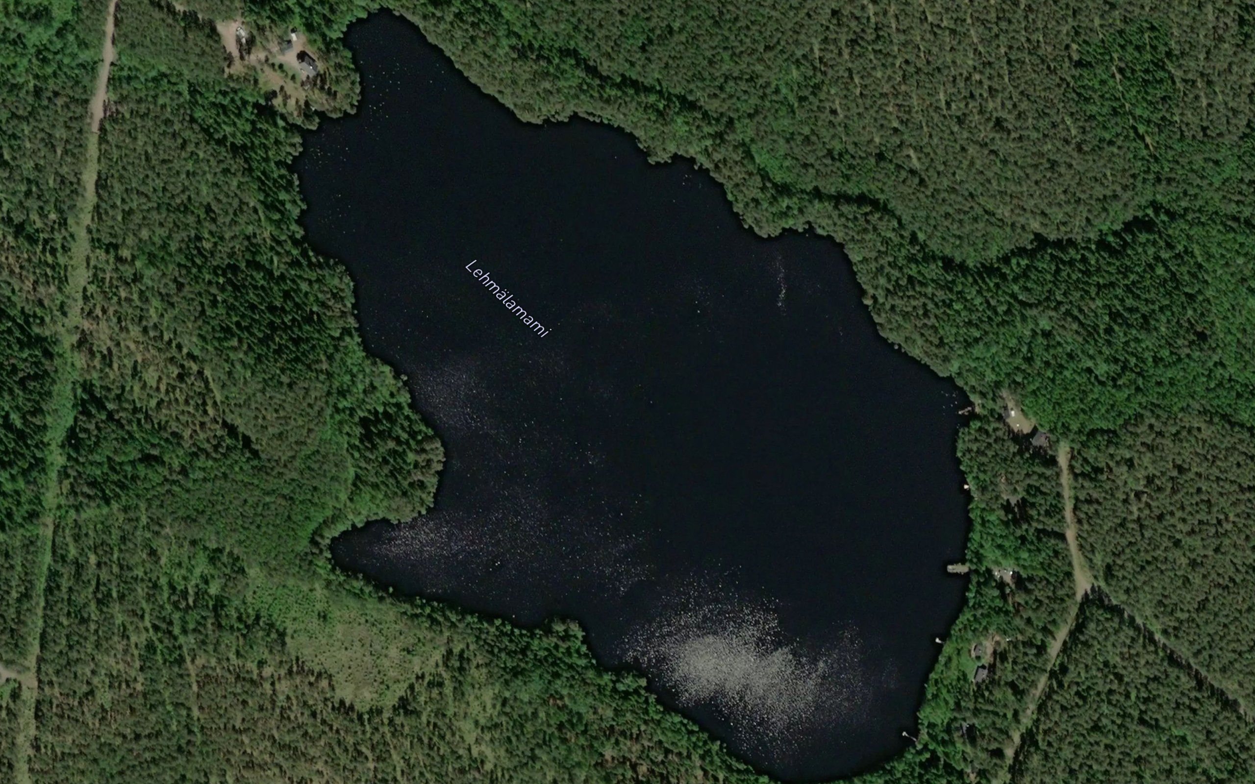 Lehmalammi