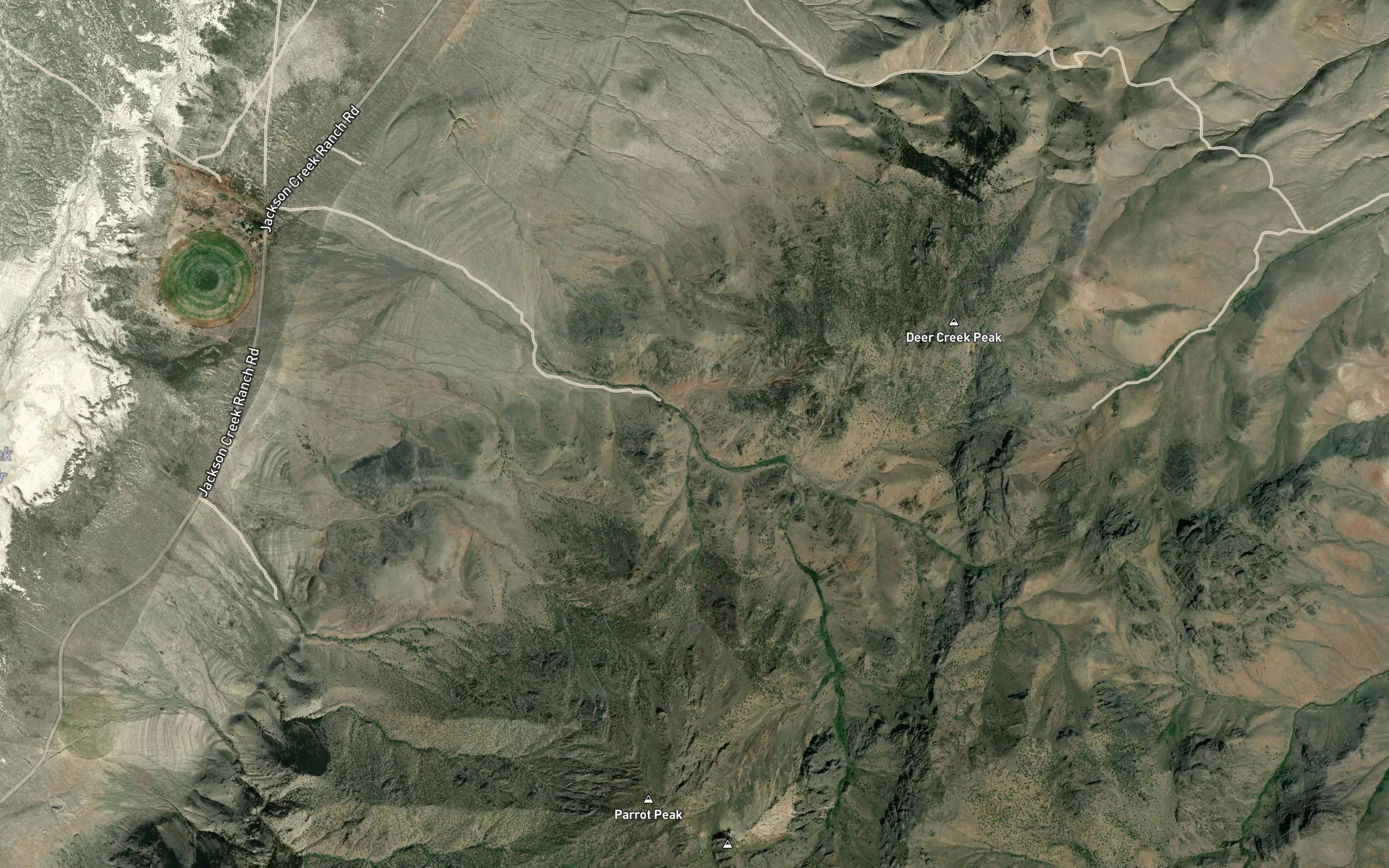 Willow Springs