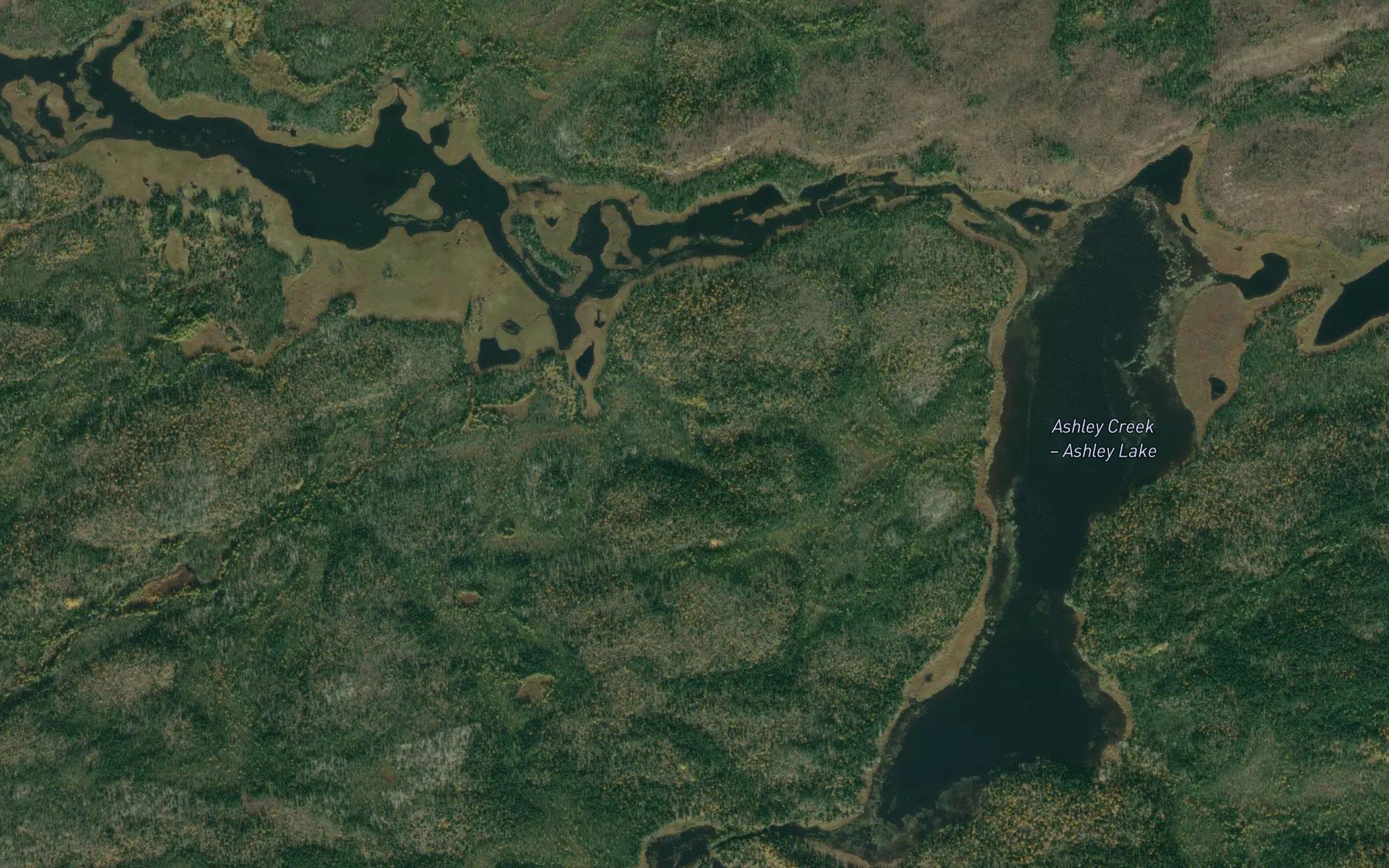 Ashley Lake