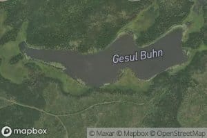 Gesul Buhn